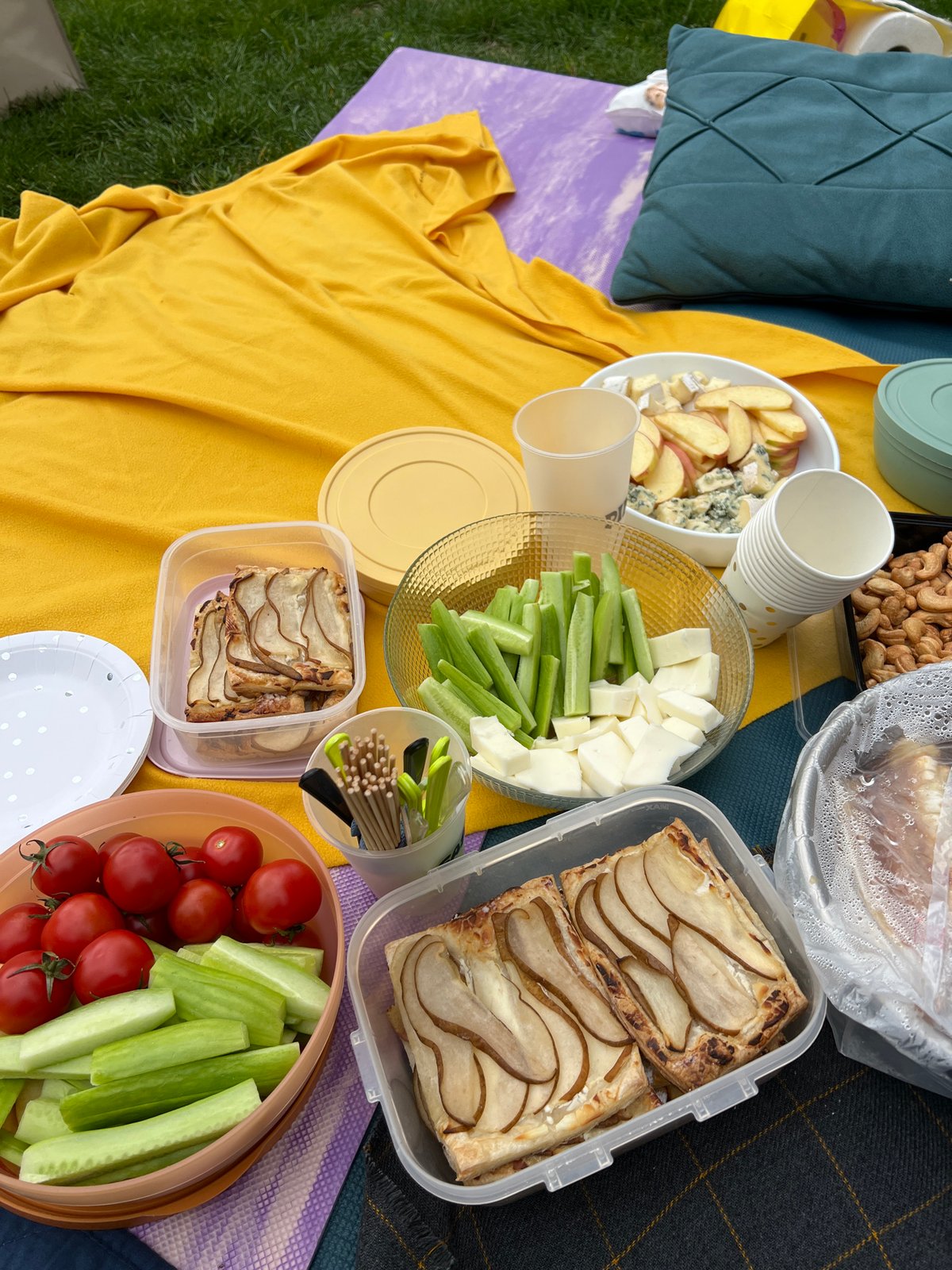 Spring picnic gathering documented in Tbilisi park