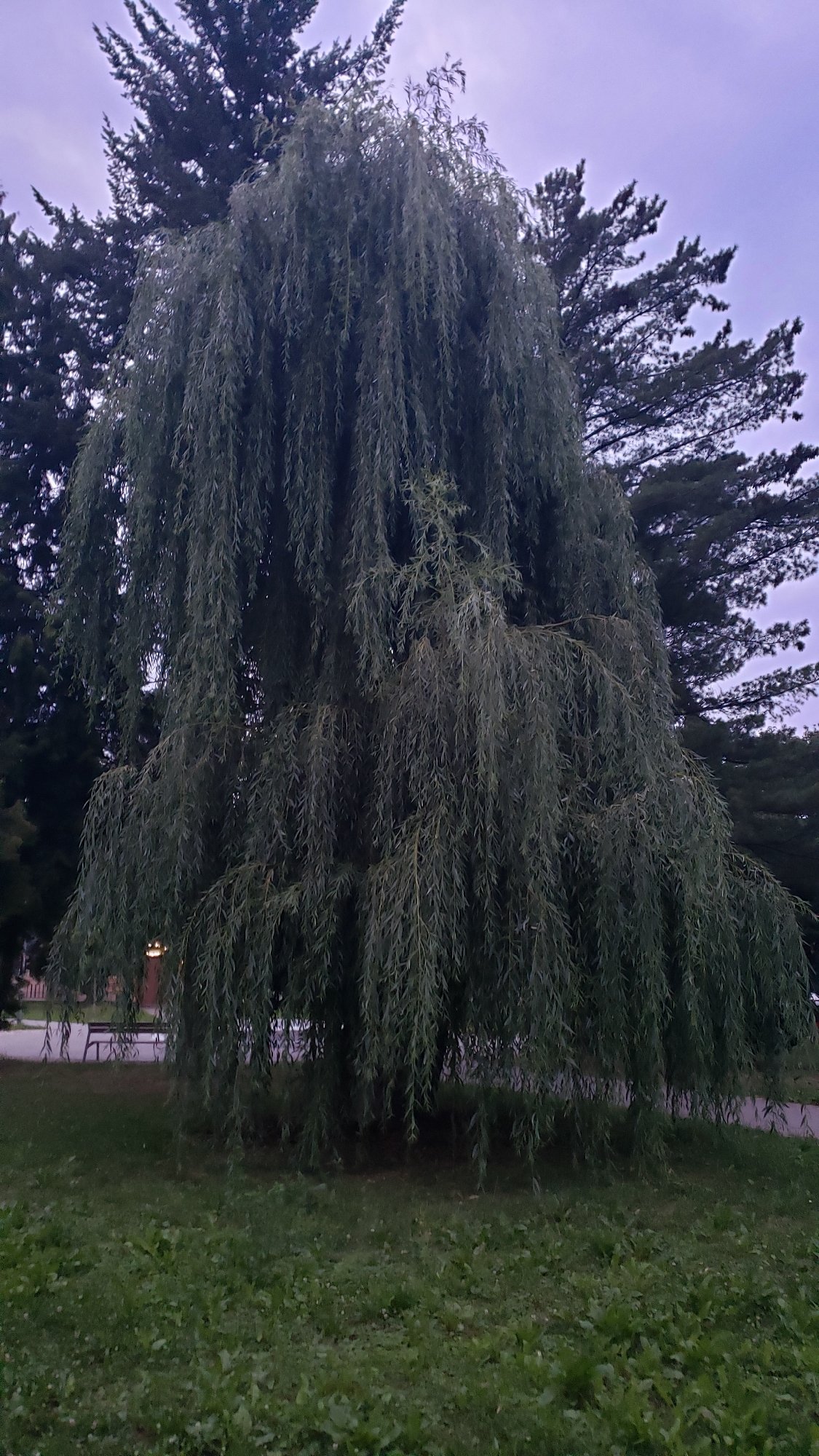 Evening stroll through Prešov's riverside parks and streets