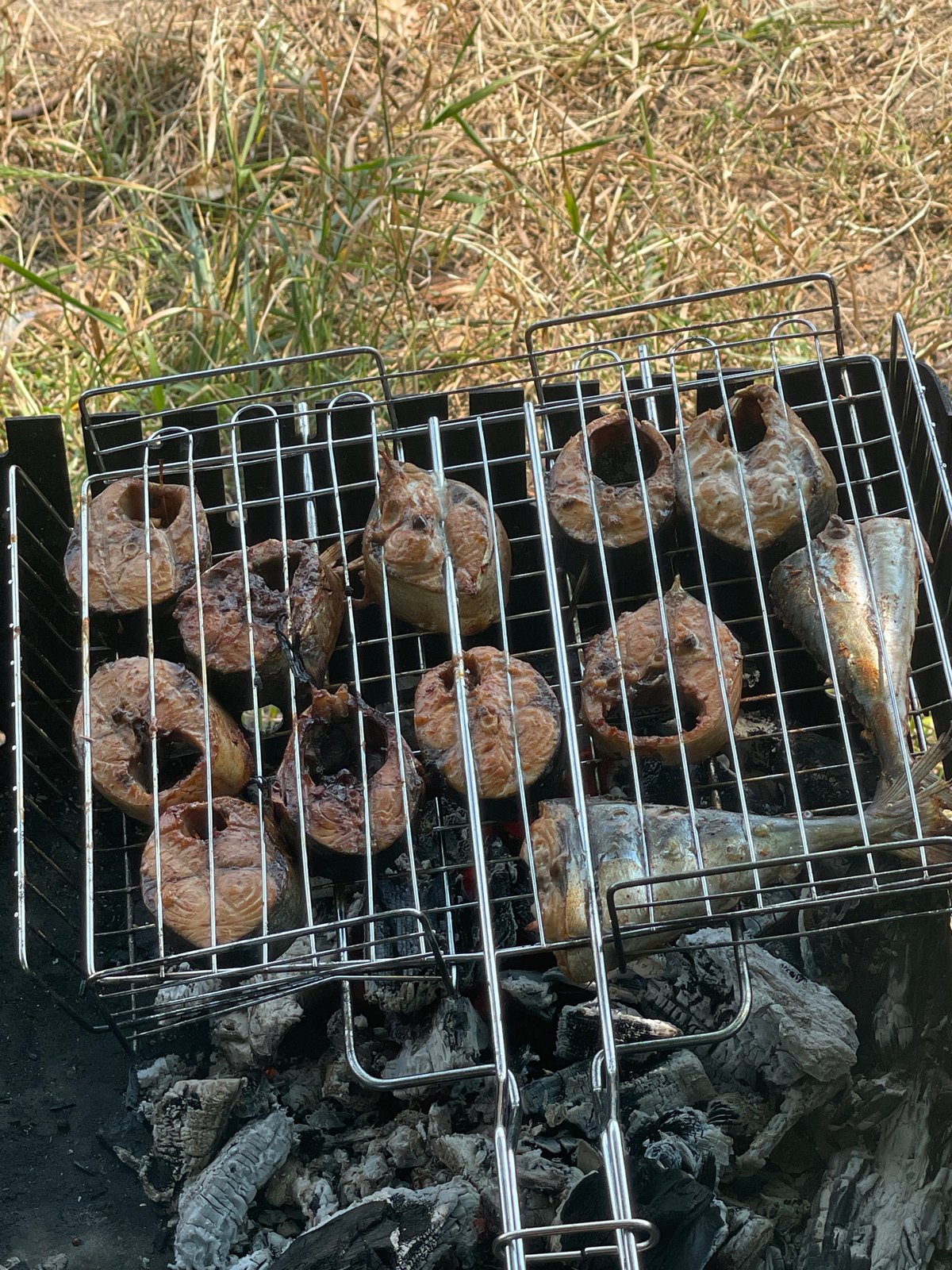 Lakeside cookout in rural Belarus with wildlife all around