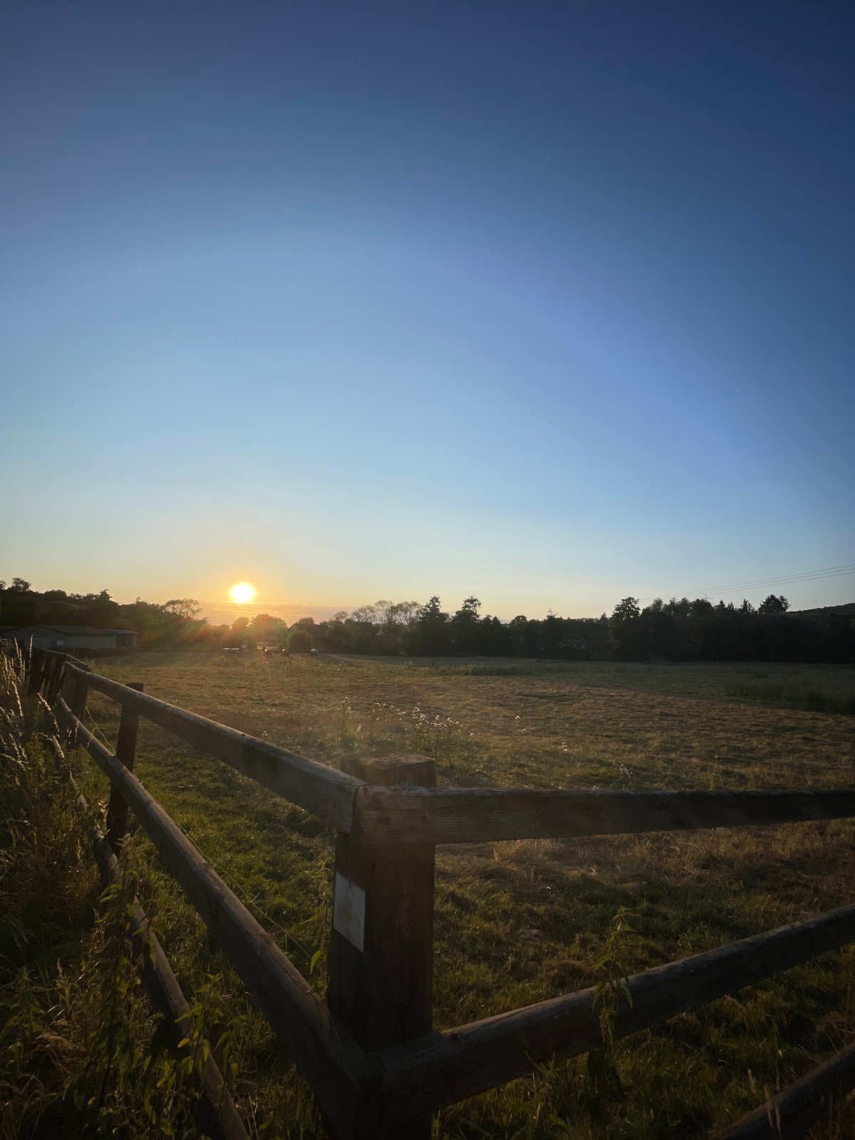 Golden hour along a wooden fence in rural Hesse