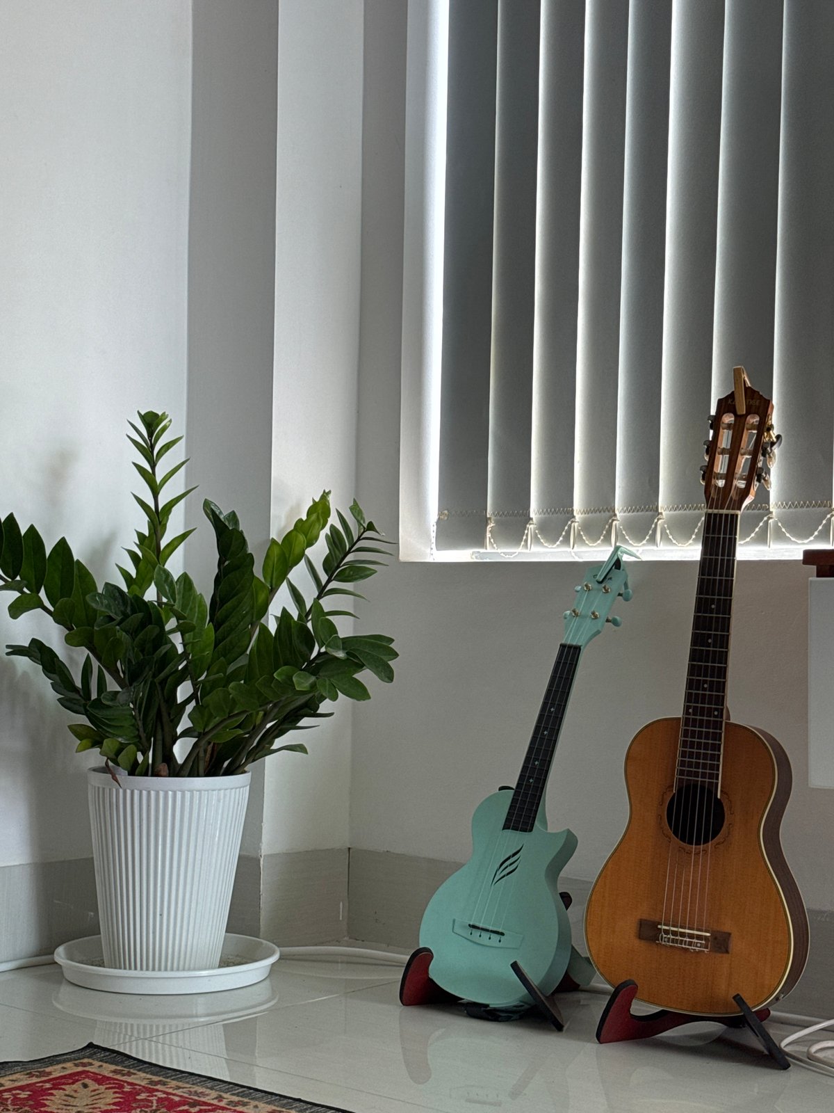 Indoor scene with plant, instruments, lucky cat figurine observed Vietnam