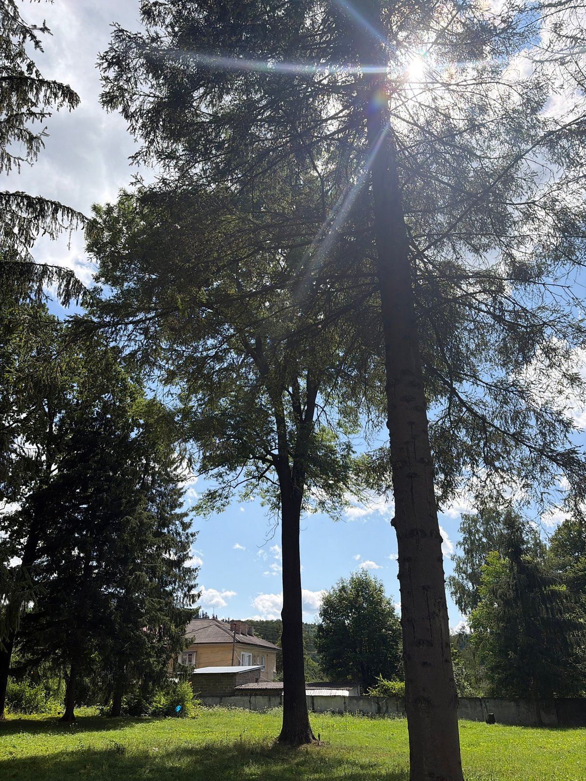 Exploring the grounds of a medical center campus on a sunny day