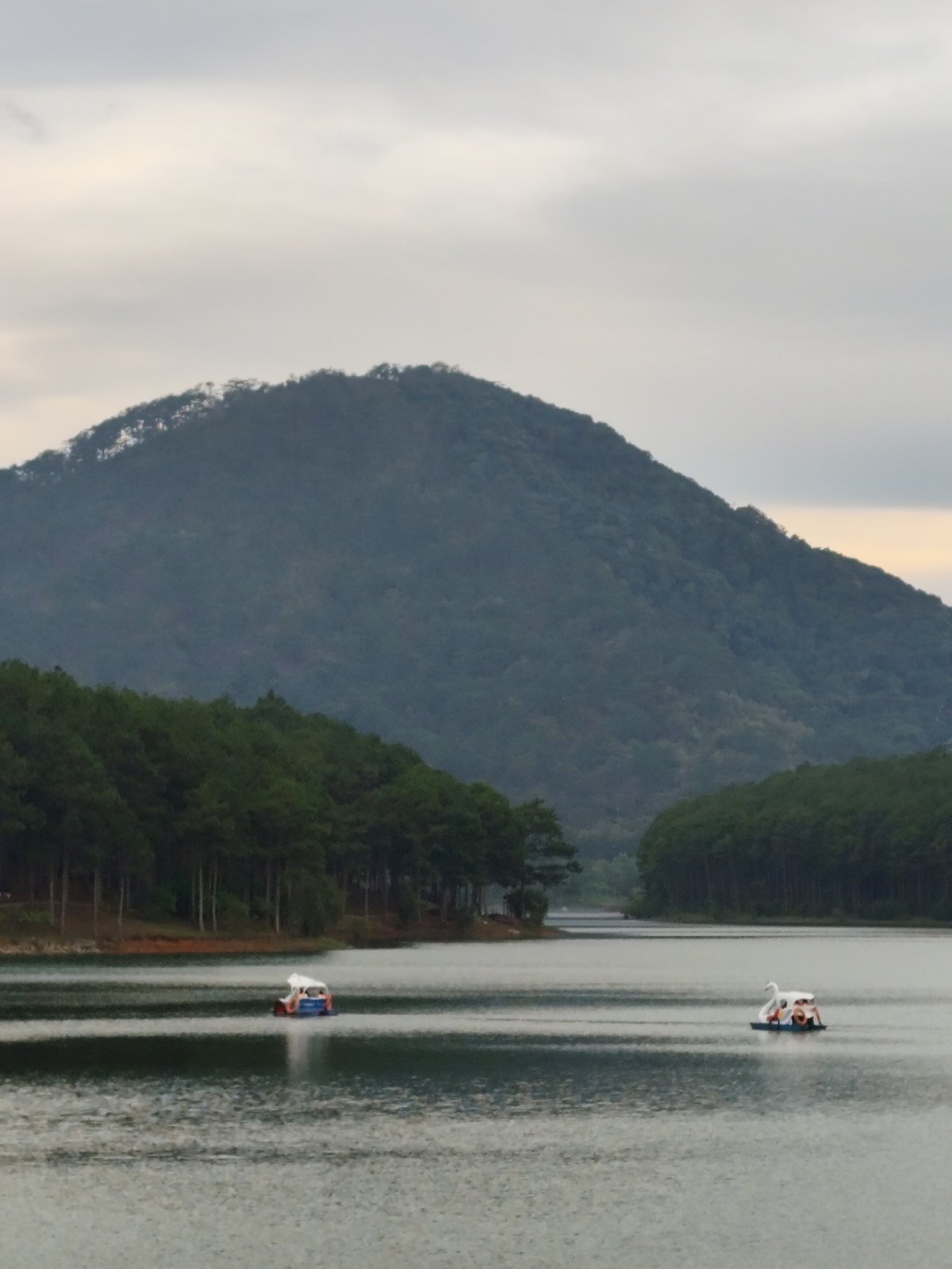 Swan pedal boats spotted at Da Lat lake under cloudy skies