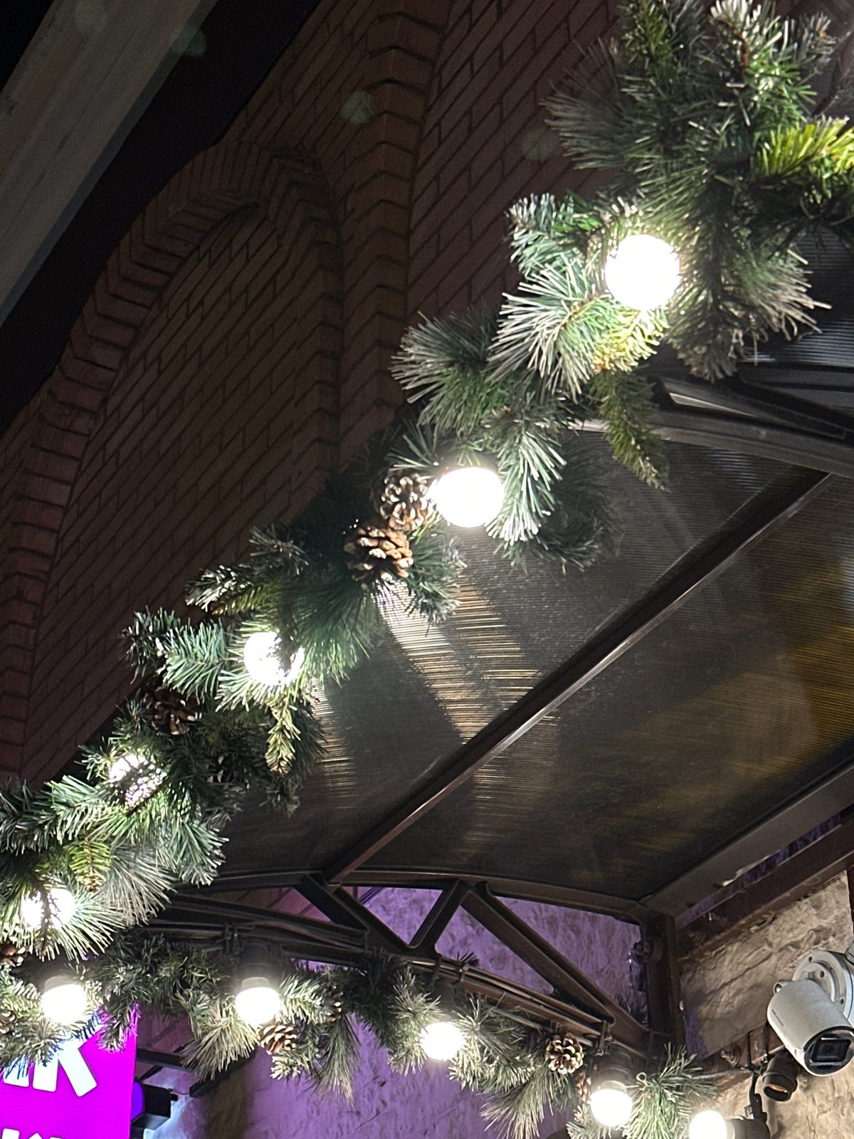 Evening snapshots capture decorated building, bakery pastries, dogs in Moscow