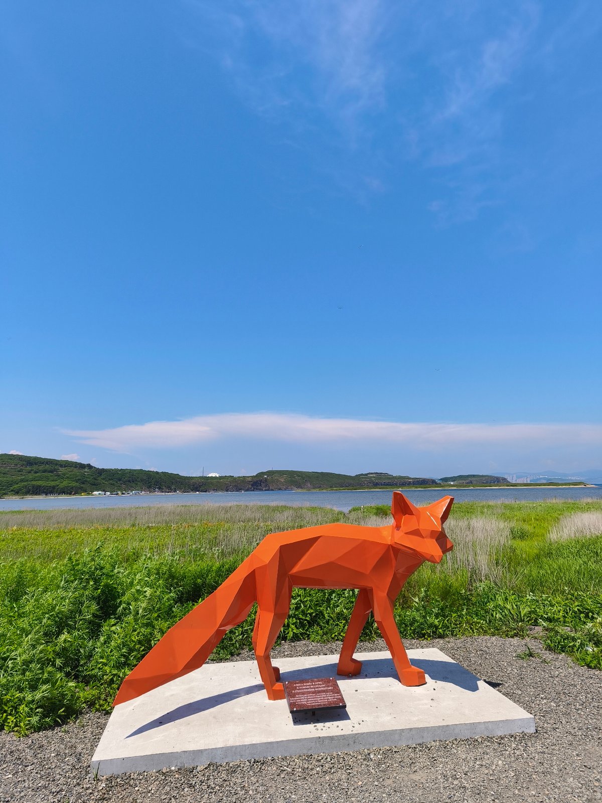 Russky Island in bloom: fox sculpture, coastal meadows, wild roses
