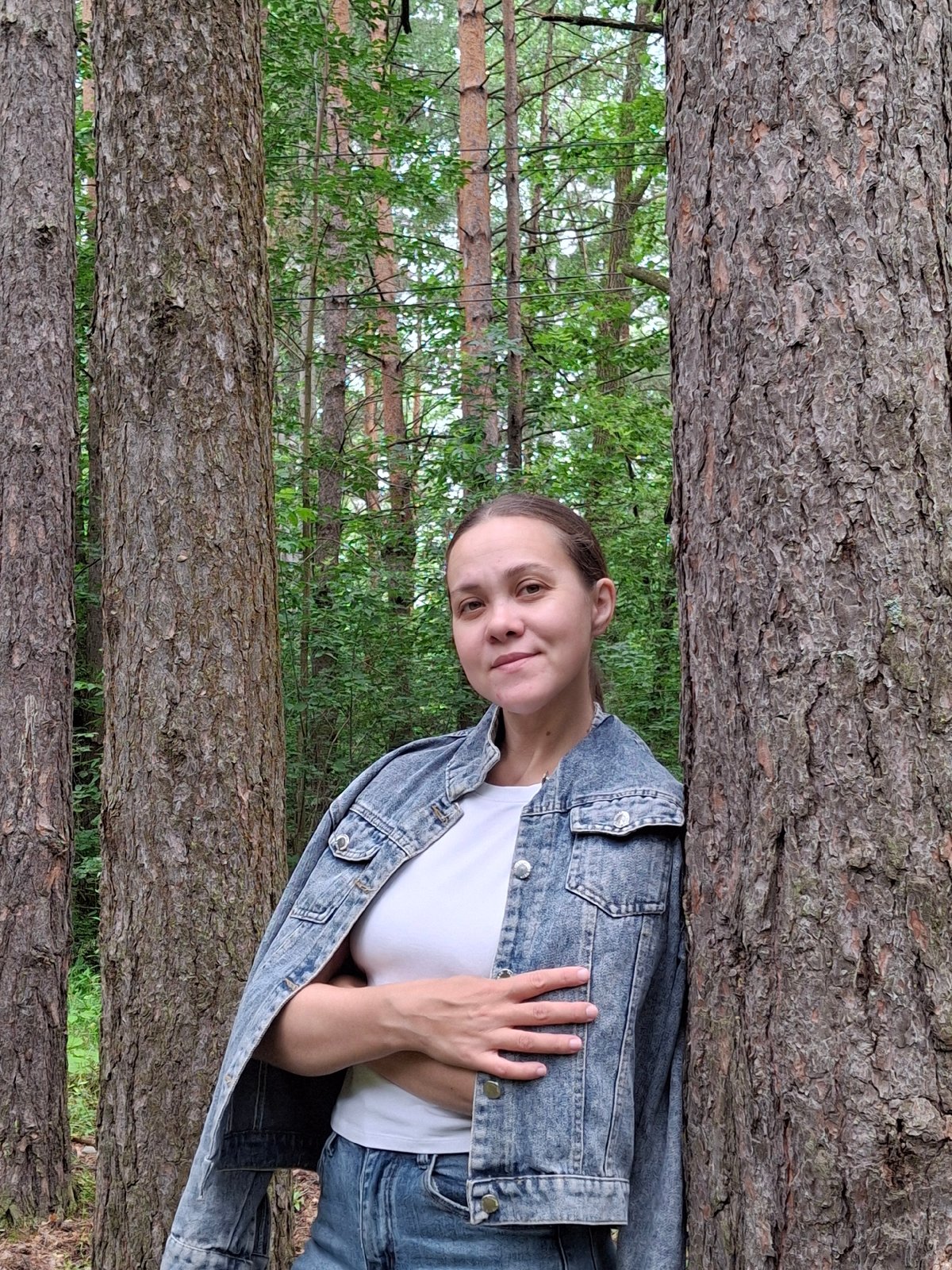 Afternoon walk through a pine forest in Chaikovsky