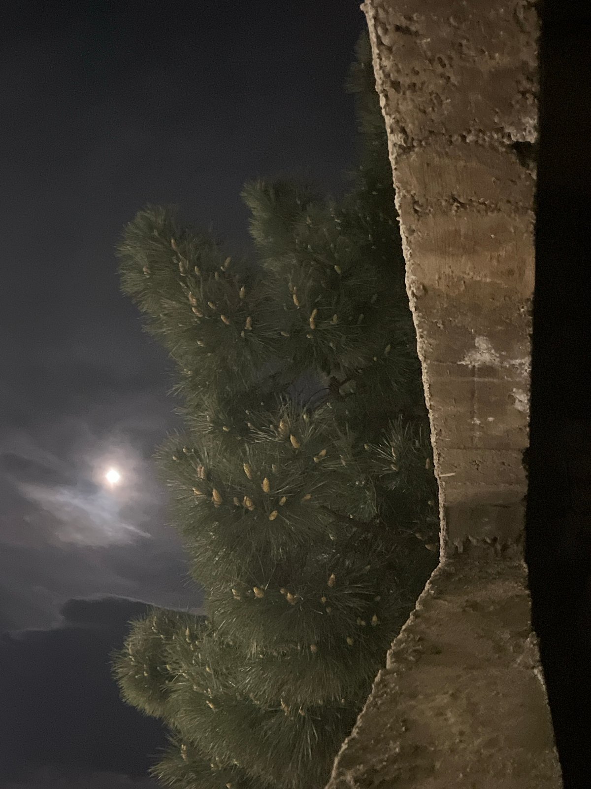Quiet nighttime scene captured in Budva, Montenegro
