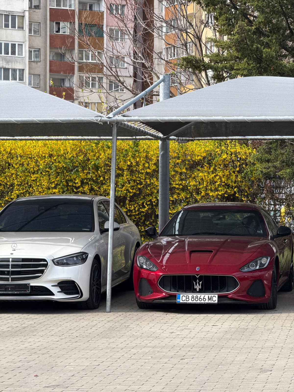 Morning scenes captured across Sofia include luxury cars, gym activity