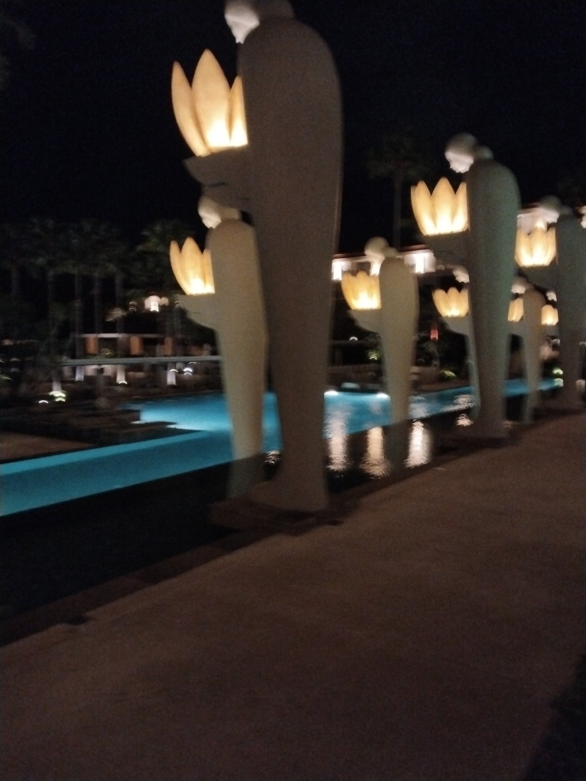 Resort evening scenes documented across multiple venues May 12