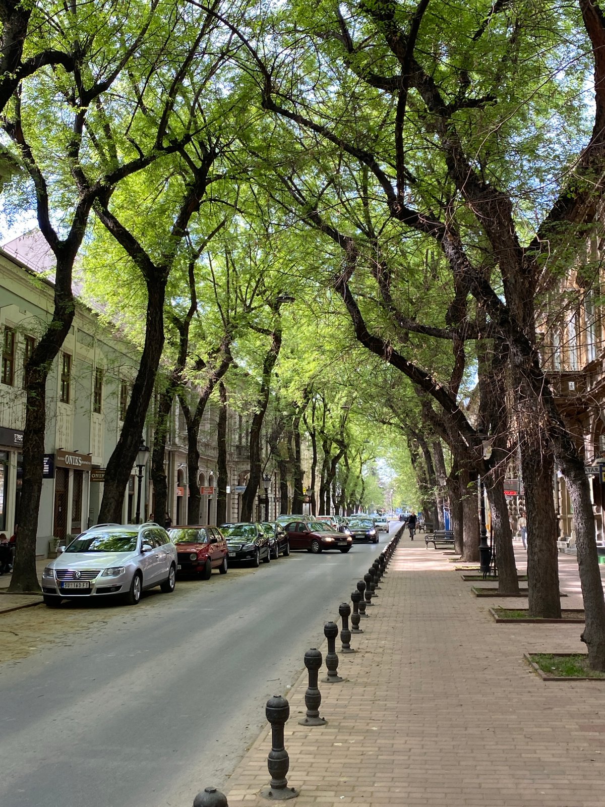 Afternoon scenes from Subotica streets, cathedral, and local vendors