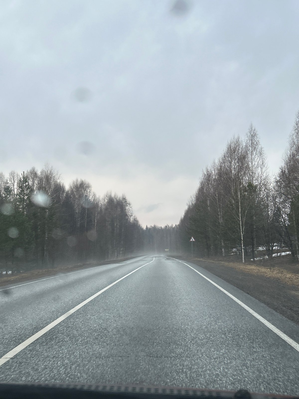 Forest road documented under gray skies in Belaya Gora