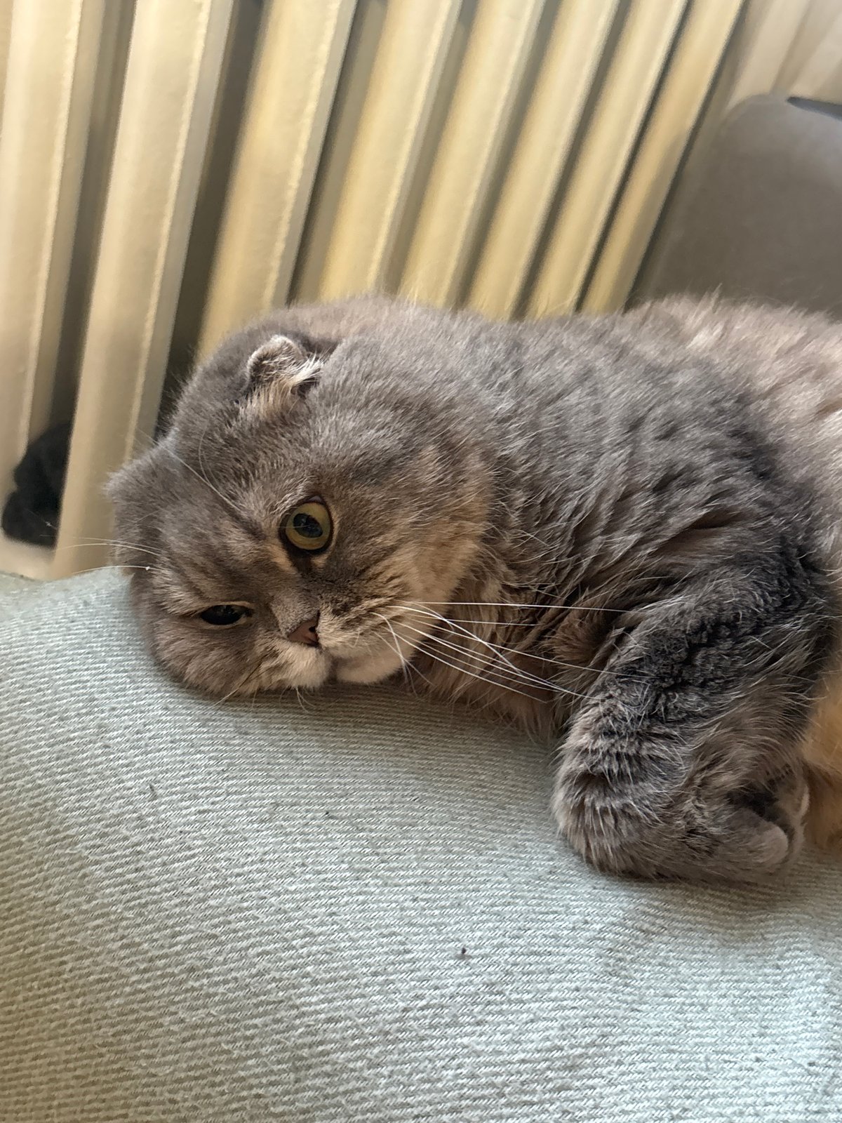 Woman documents quiet morning with cat in Chaikovsky, Russia