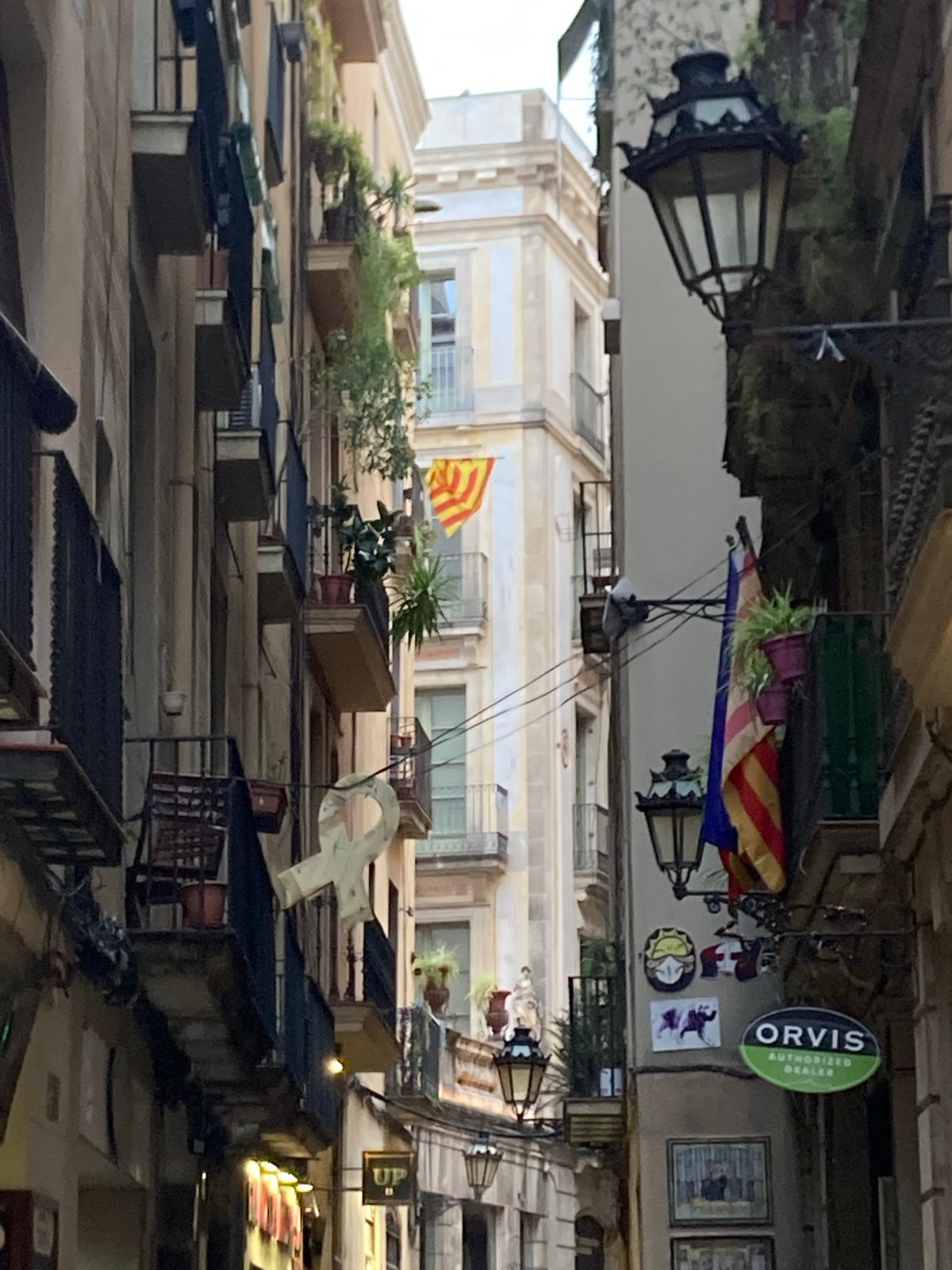 An evening roaming Barcelona's old center, burgers and all