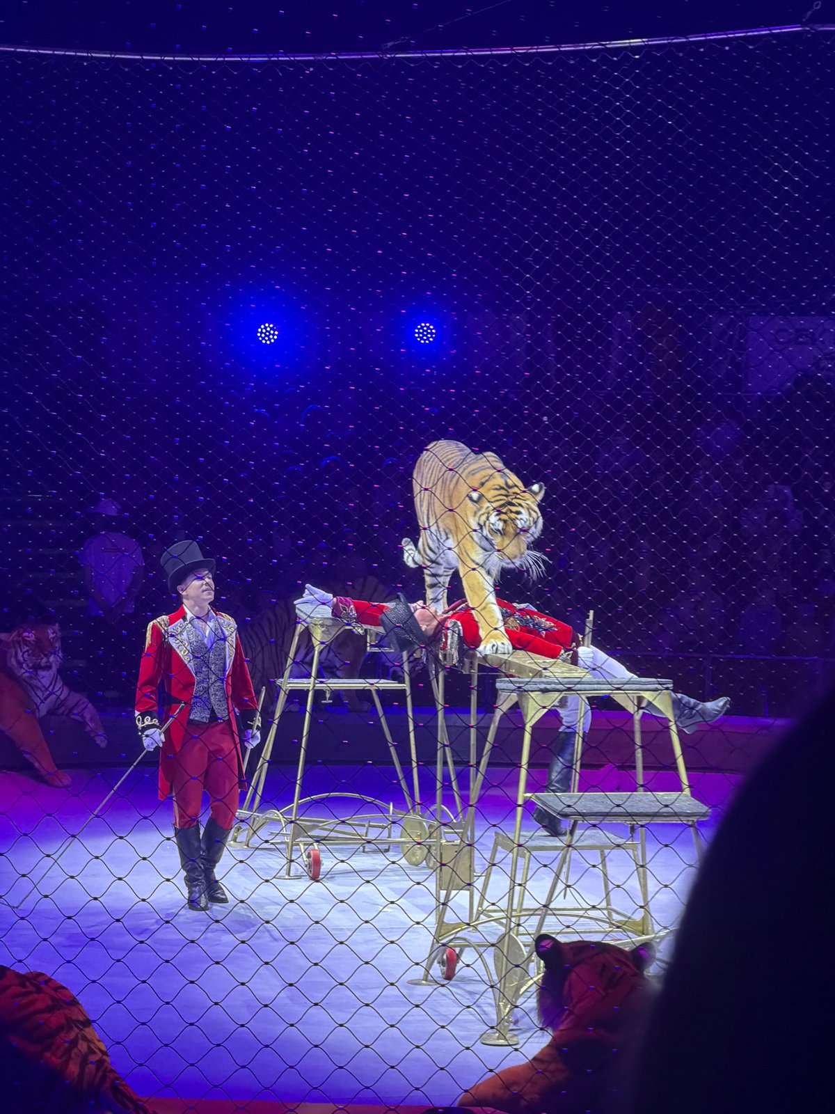 Full circus show: big cats, aerialists, clowns, and jugglers