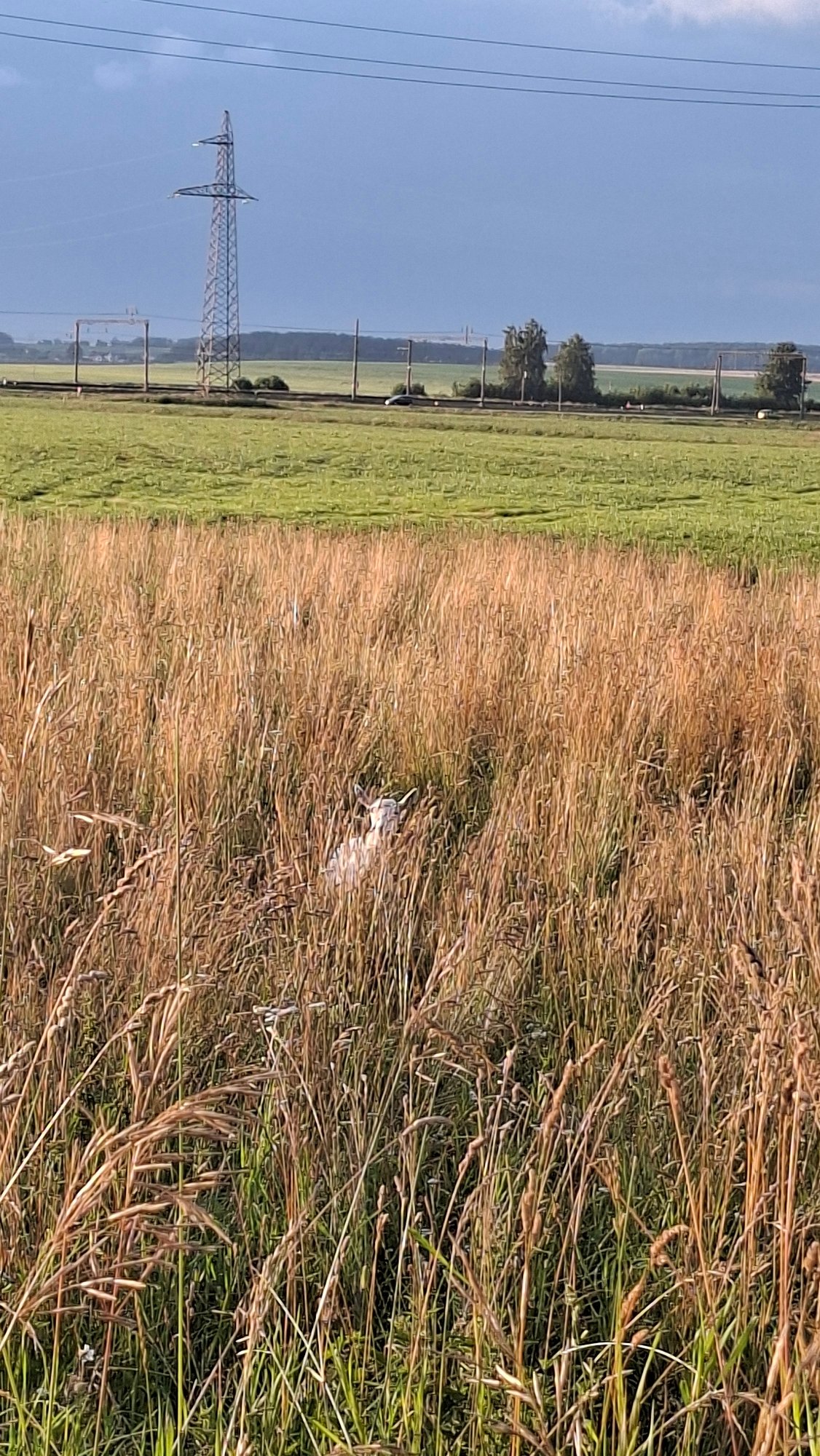 Lazy afternoon stroll through a rural Belarusian village