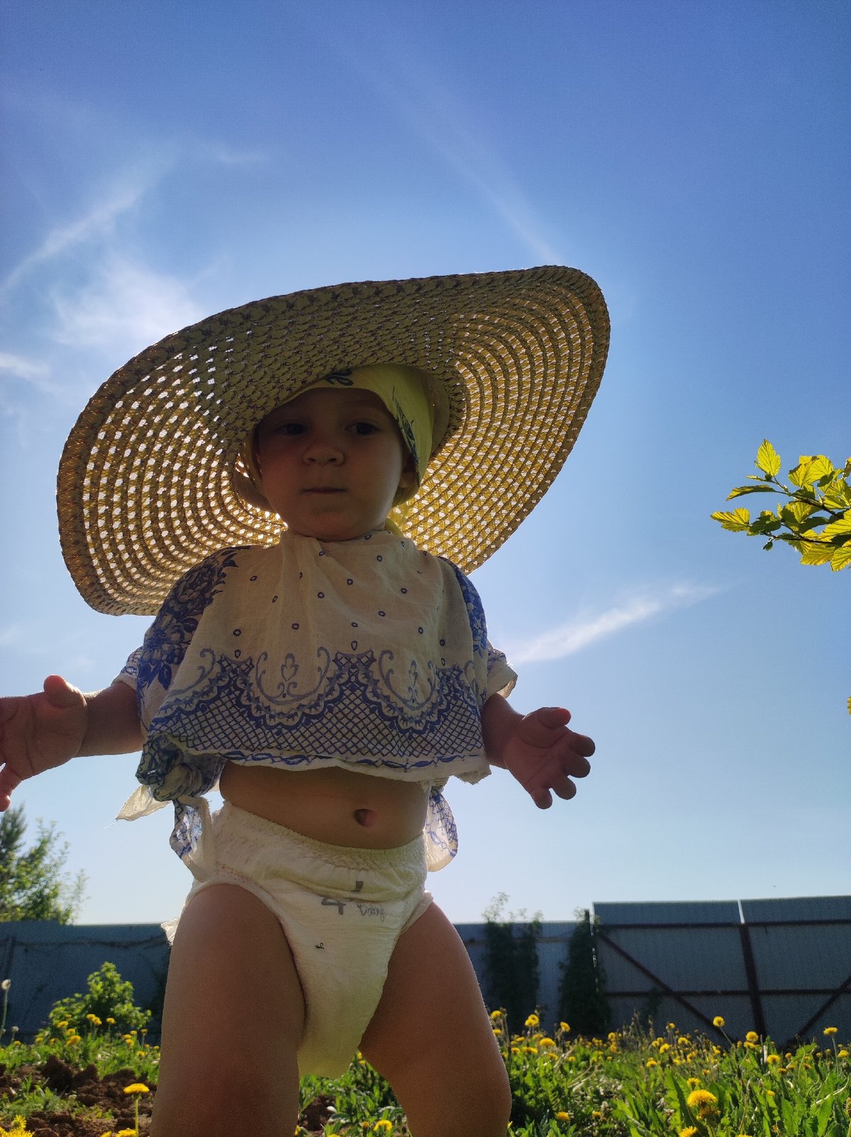 Family enjoys spring day in Russian dandelion field