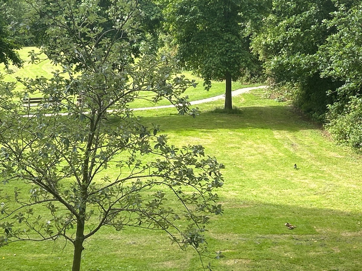 Morning routine documented in Leiden: park, breakfast, sleeping cat