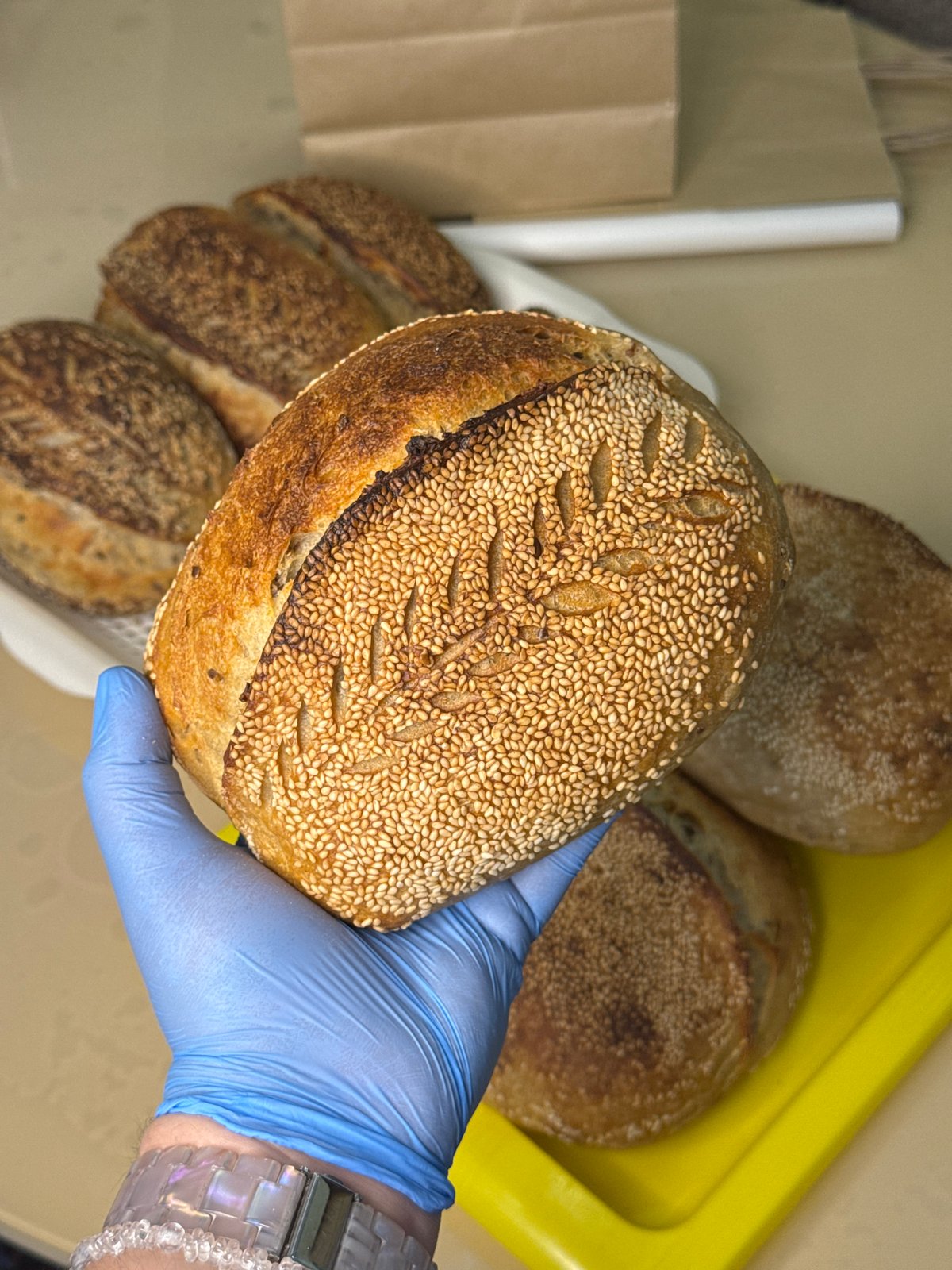 Baker displays fresh sesame bread loaves in Russian bakery