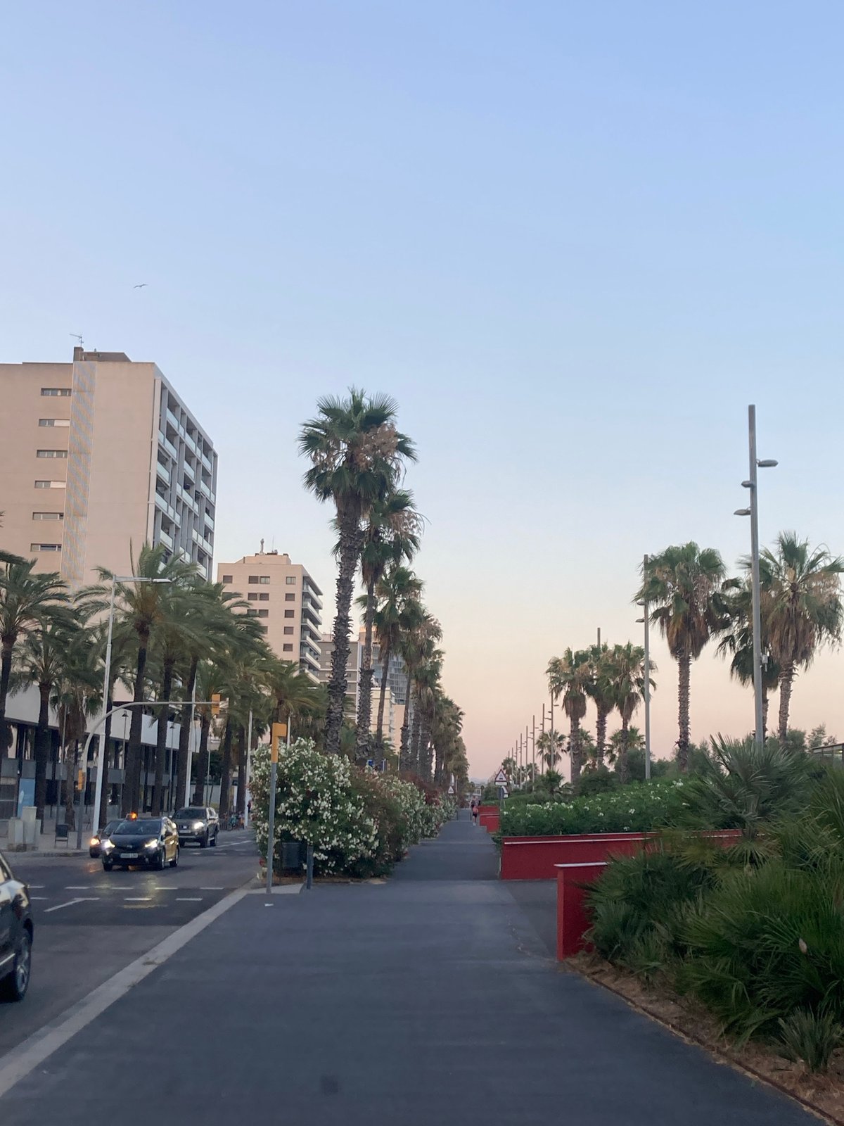 A Barcelona summer evening: skating, cycling, grilling, and street art