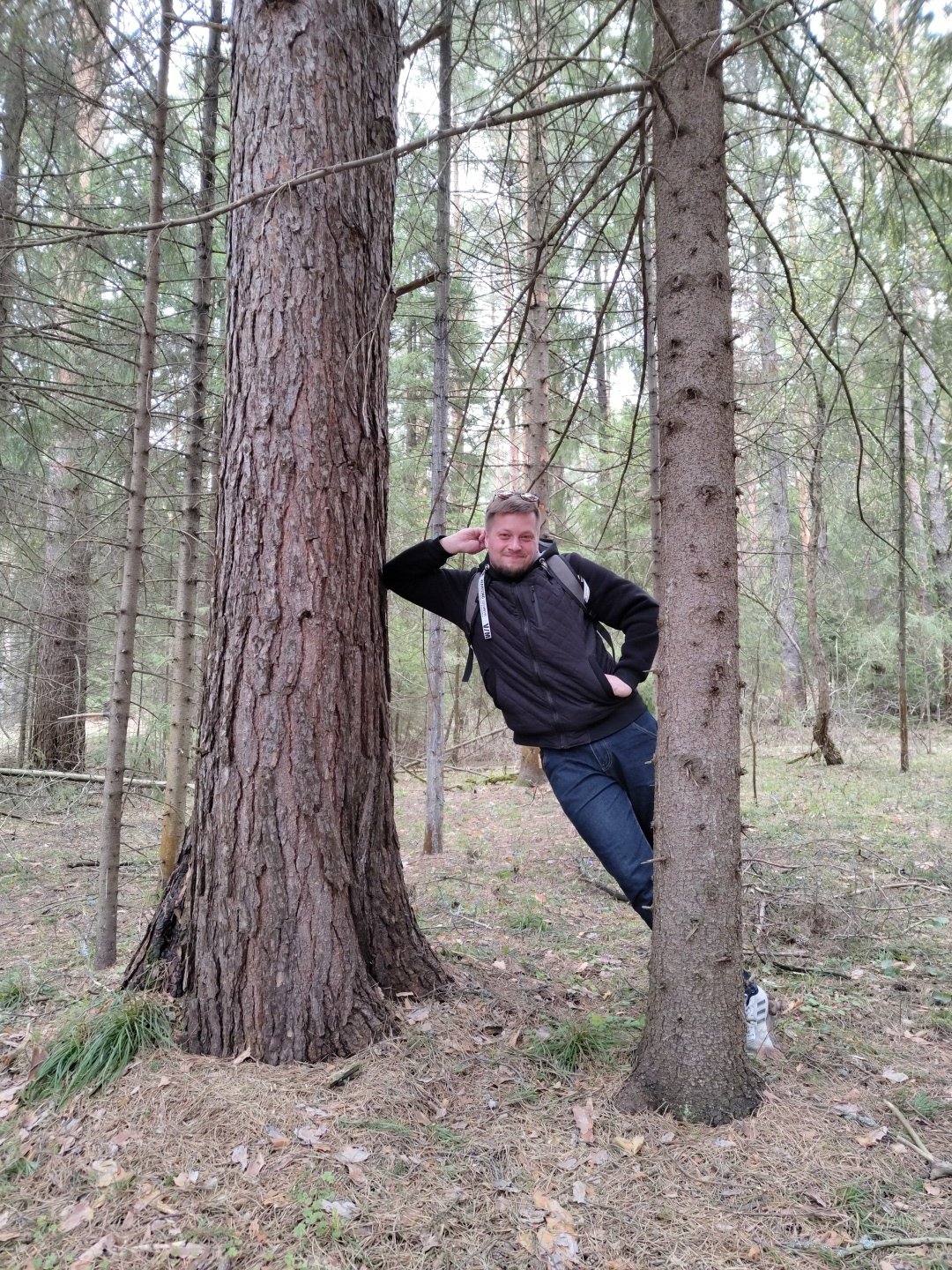 Forestry operation documented in Russian Volga region