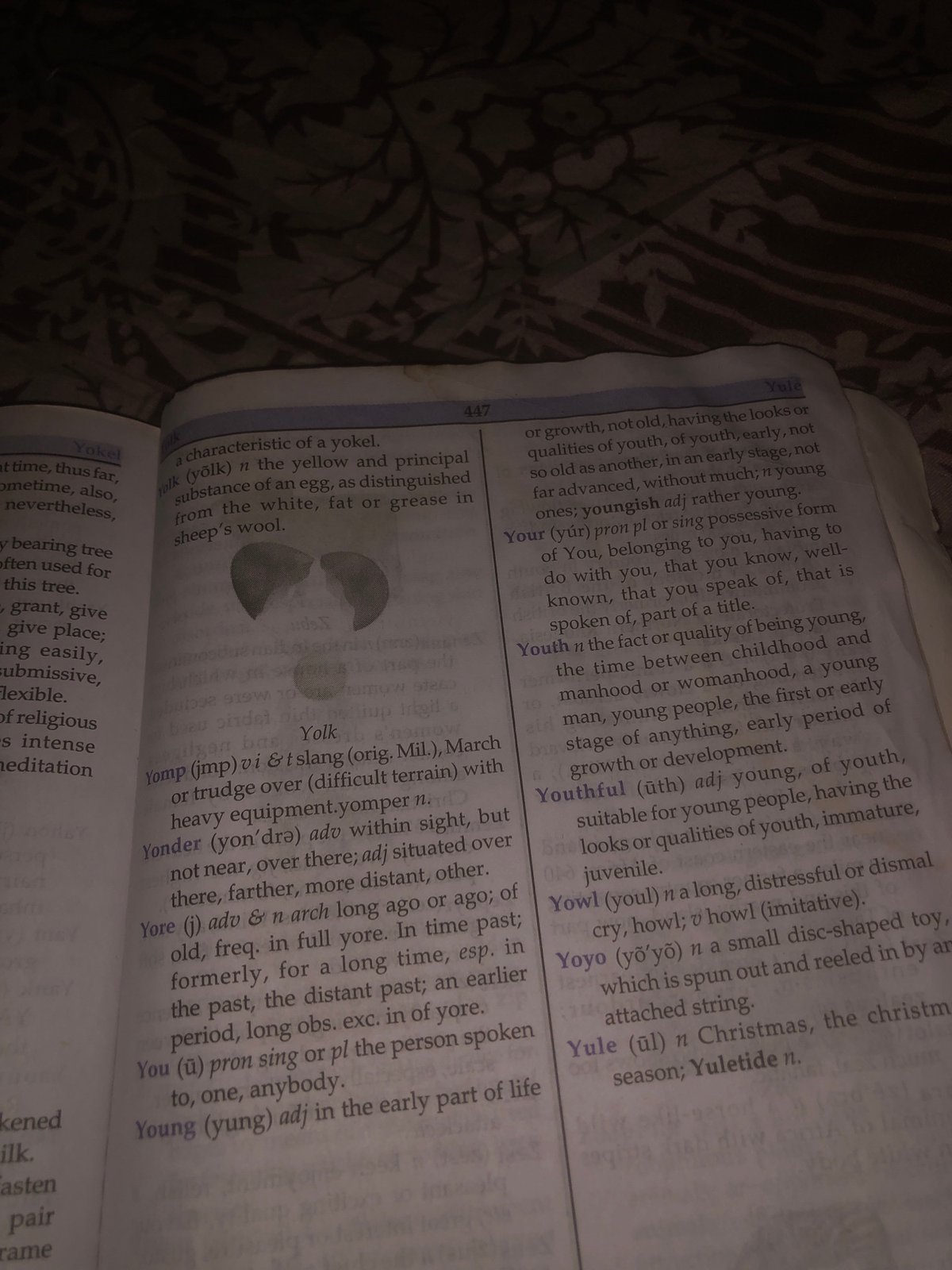 Browsing a worn English dictionary by lamplight in Jalingo