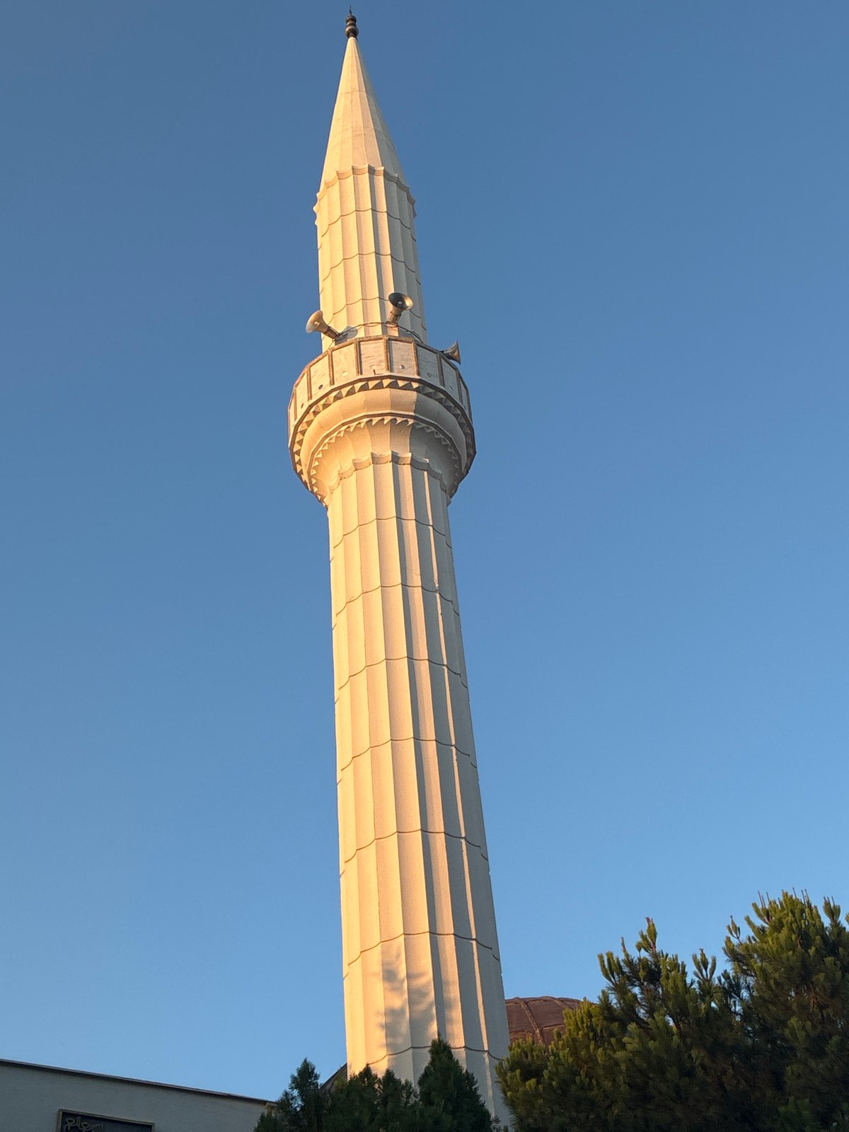 Golden hour minarets, a sleeping cat, and caged chickens in Alanya