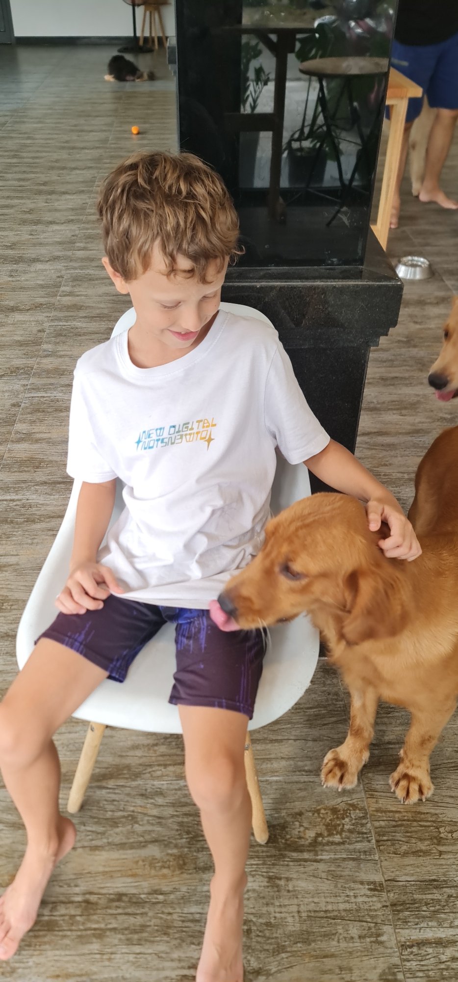 Boy plays with Pomeranian dogs in Đà Nẵng home