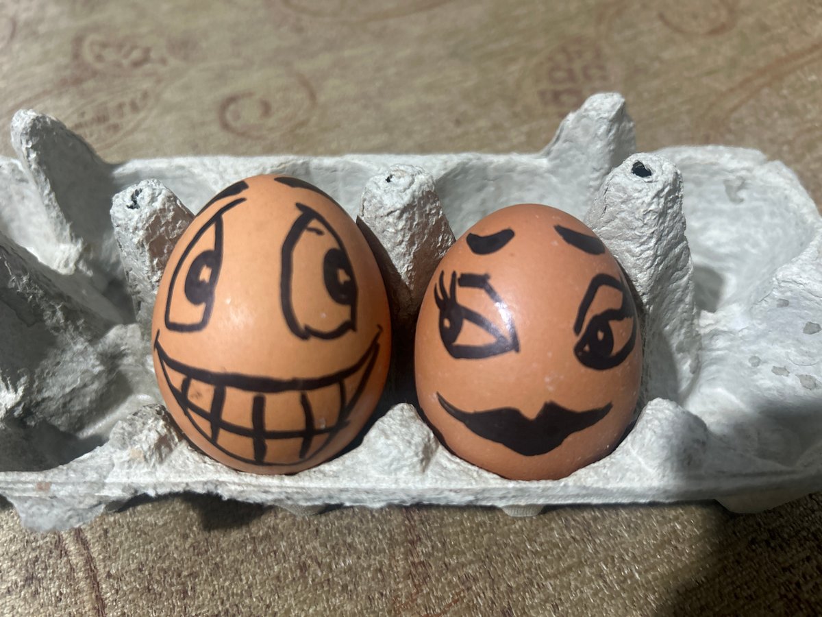 Eggs with drawn faces documented in refrigerator carton