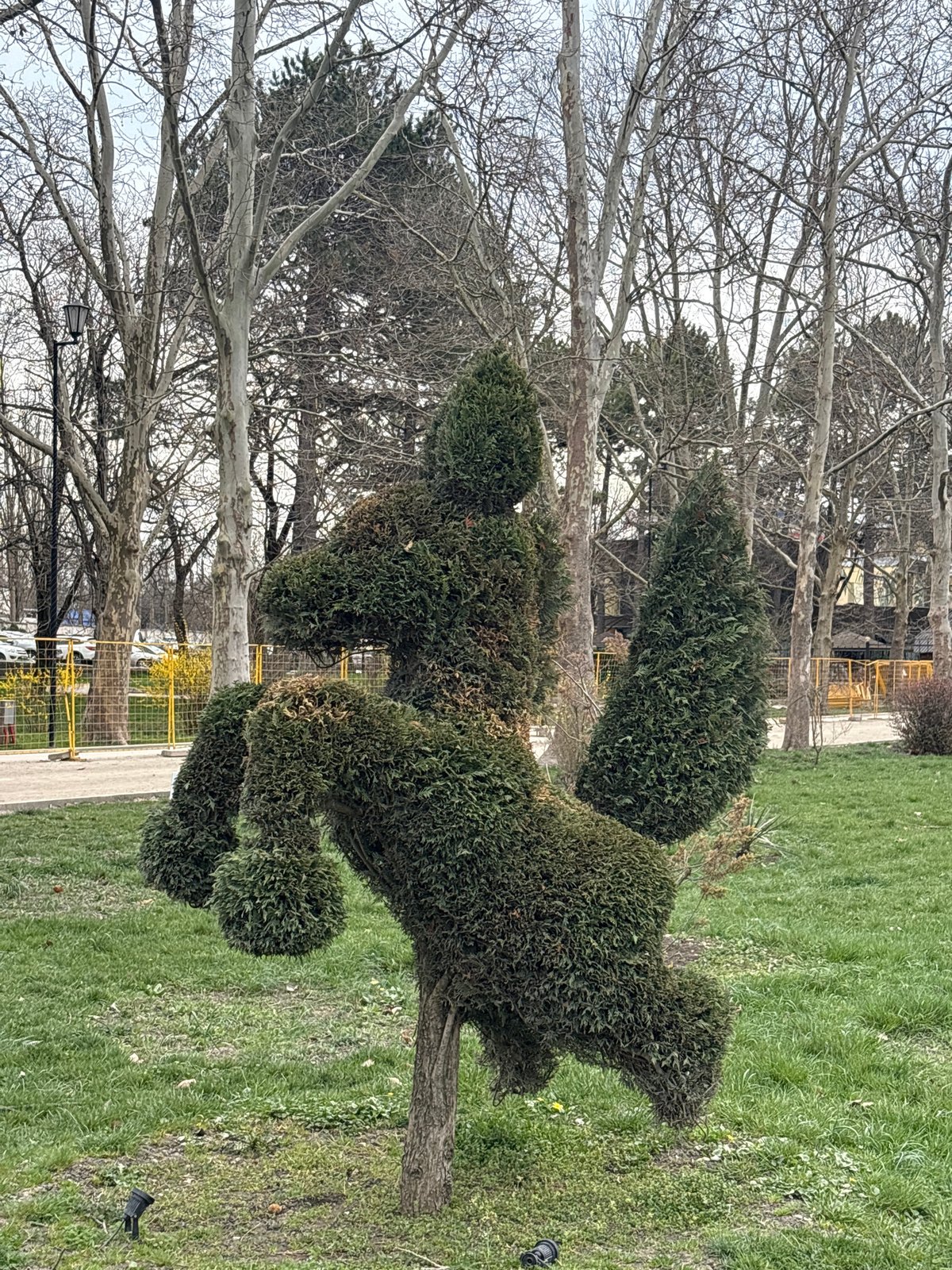 Morning scenes captured in Simferopol park setting