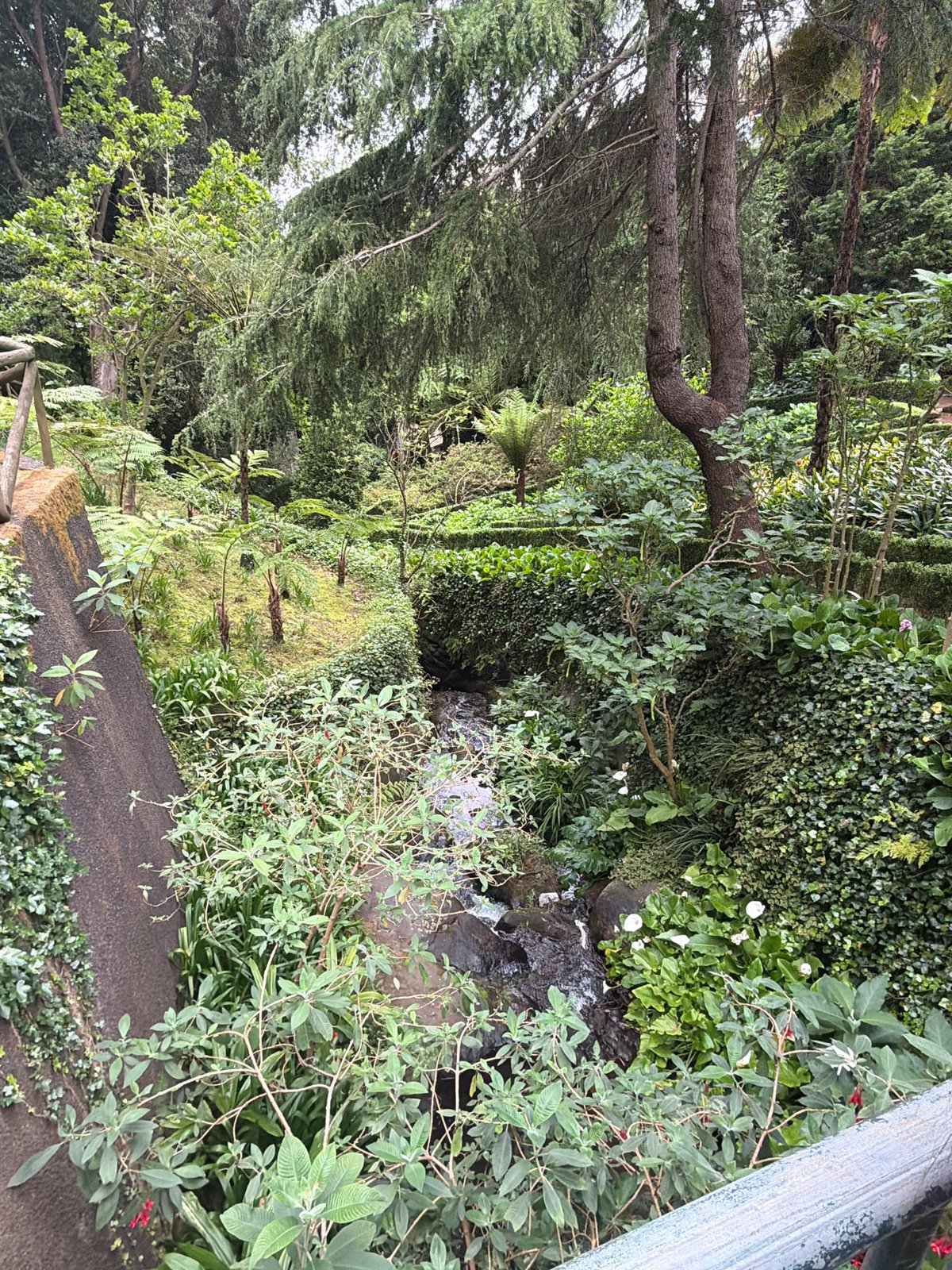 Visitor documents afternoon stroll through Funchal's Monte Palace Garden