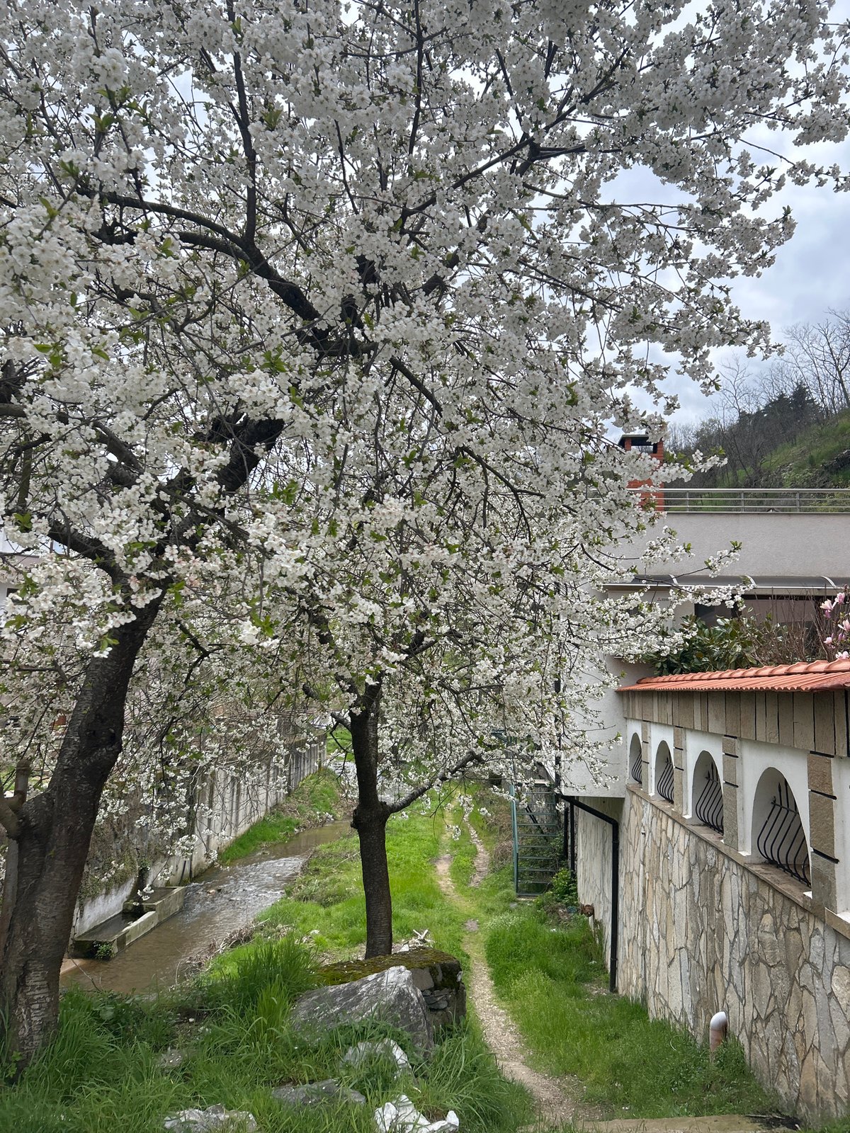 Spring day documented in Bulgarian mountain town Zlatograd