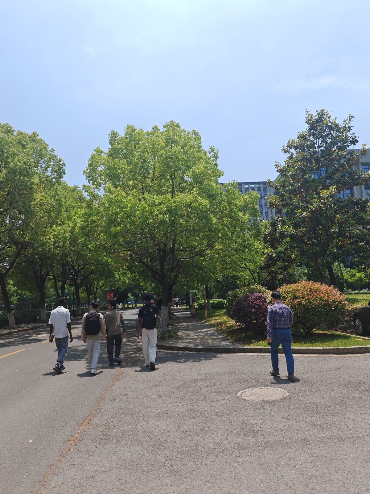 Early morning pedestrians navigate tree-lined paths in Jiangning District
