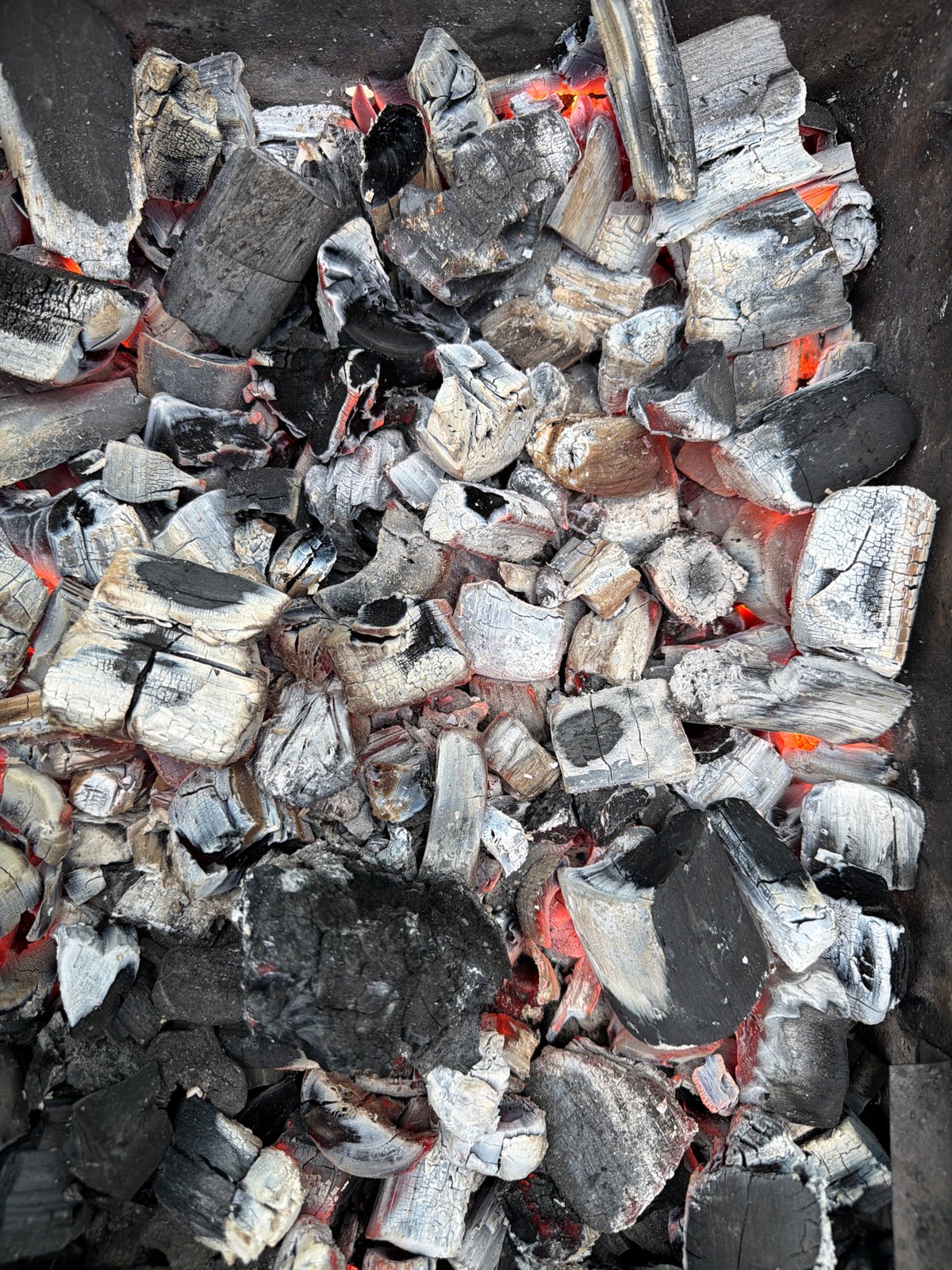 Lakeside charcoal burning documented in Фоки, Russia