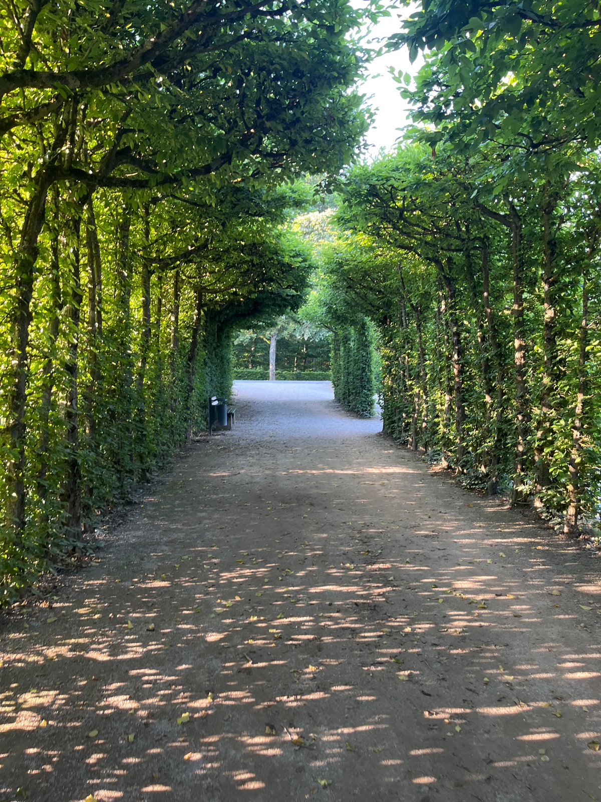 Strolling the hedge-lined paths of a Bayreuth formal garden