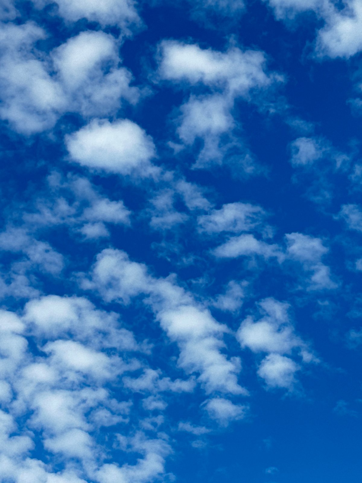 Sunny afternoon on a Chaikovsky playground, clouds and a cat