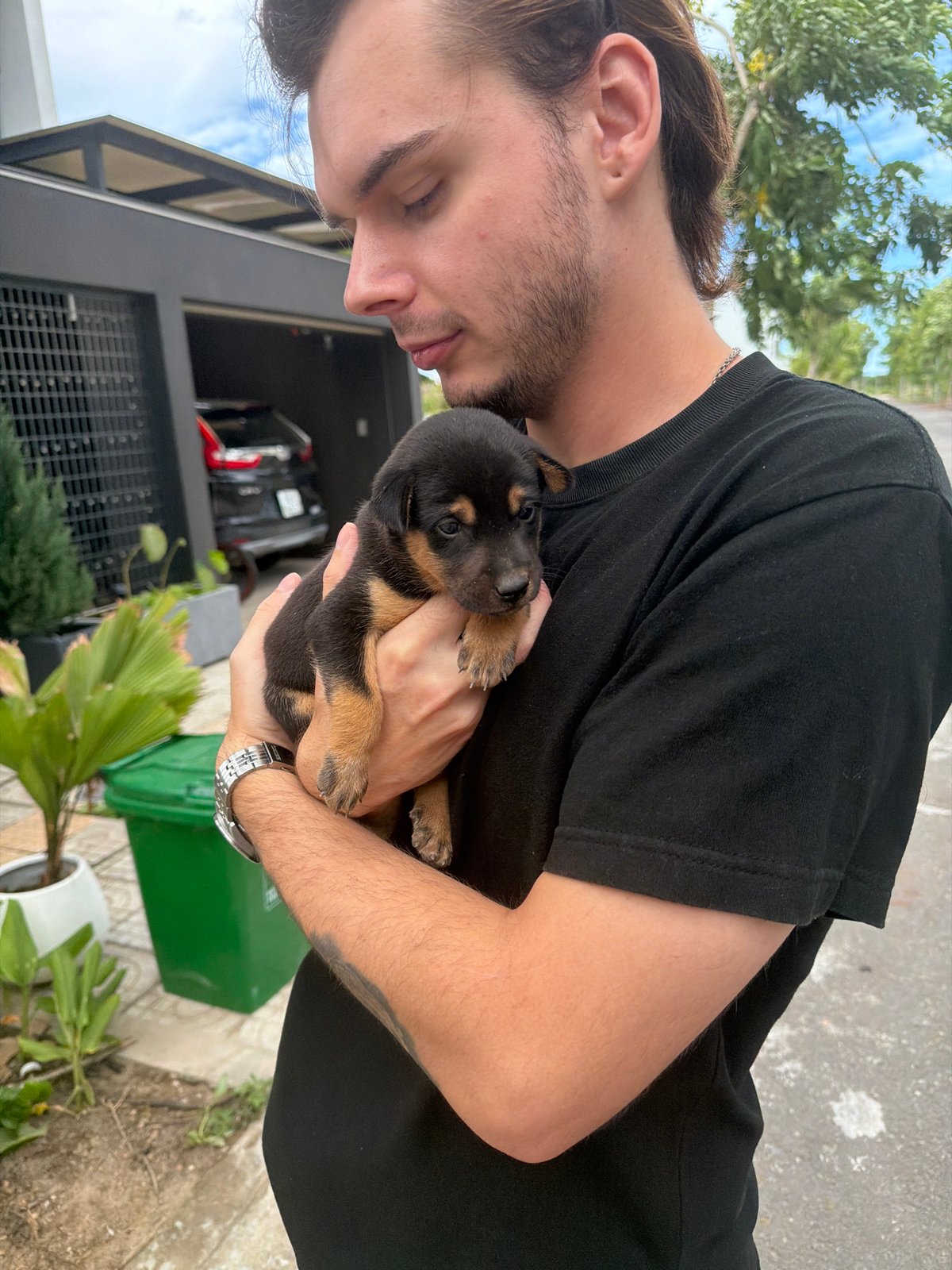 Tiny Rottweiler-mix puppy held outdoors in Đà Nẵng