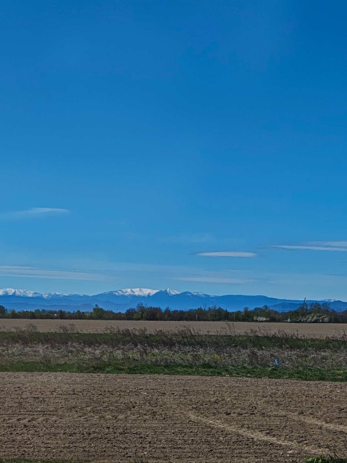 Clear skies over rural Cherniiv farmland documented Monday morning