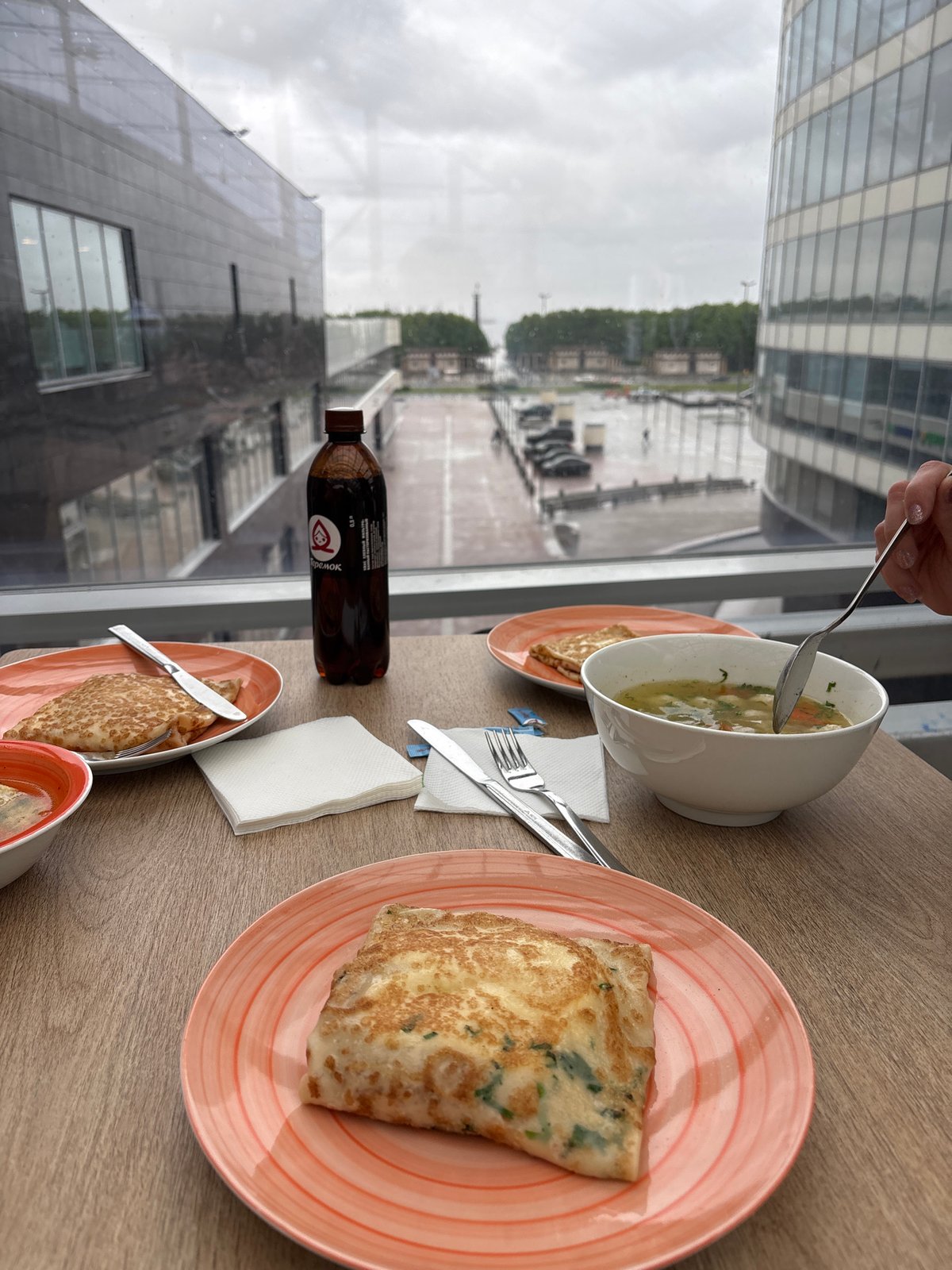 Dining and shopping documented at Saint Petersburg Gallery mall