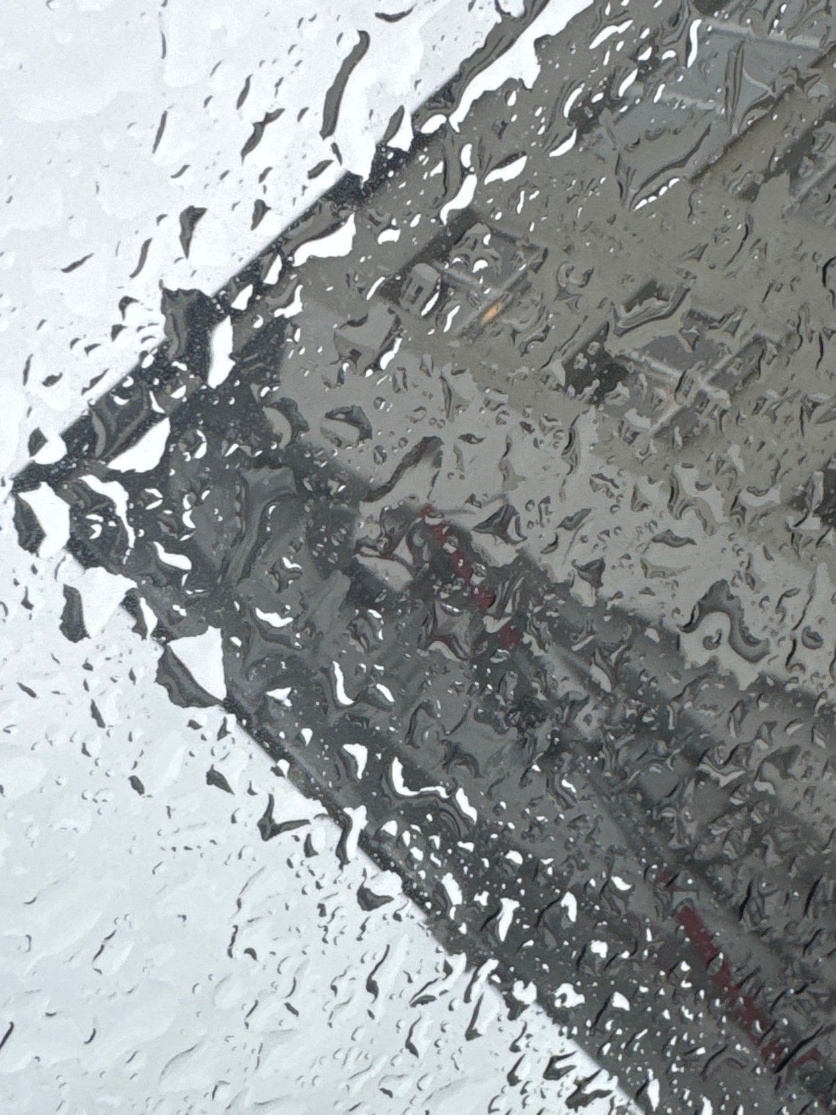 Rainy morning street views captured in Sirius, Russia