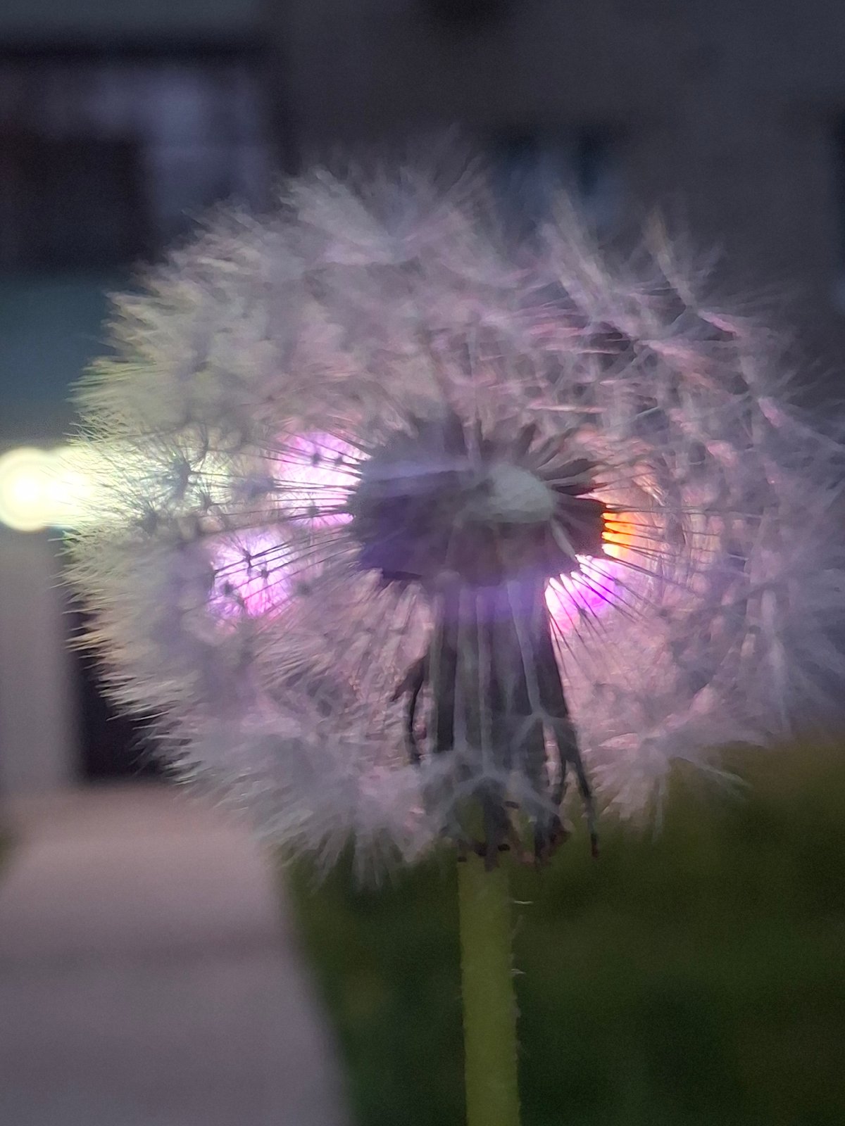 Evening routine captured in Chaikovsky: nature, self-care, rest