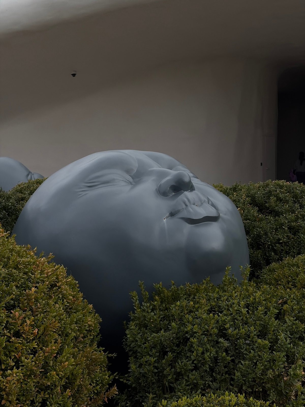 Gray facial statue observed among green bushes