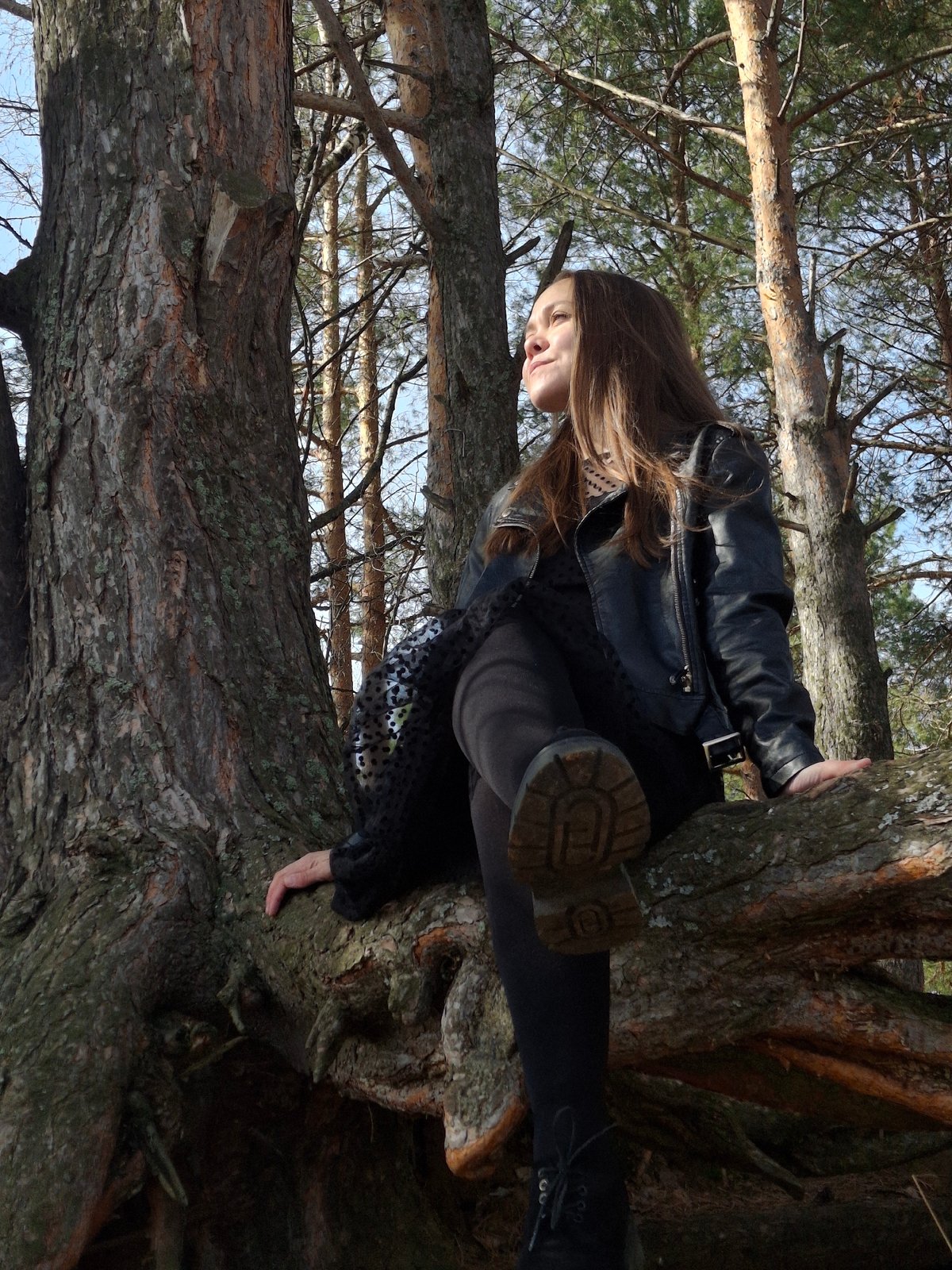 Woman sits in tree during early morning in Russian forest