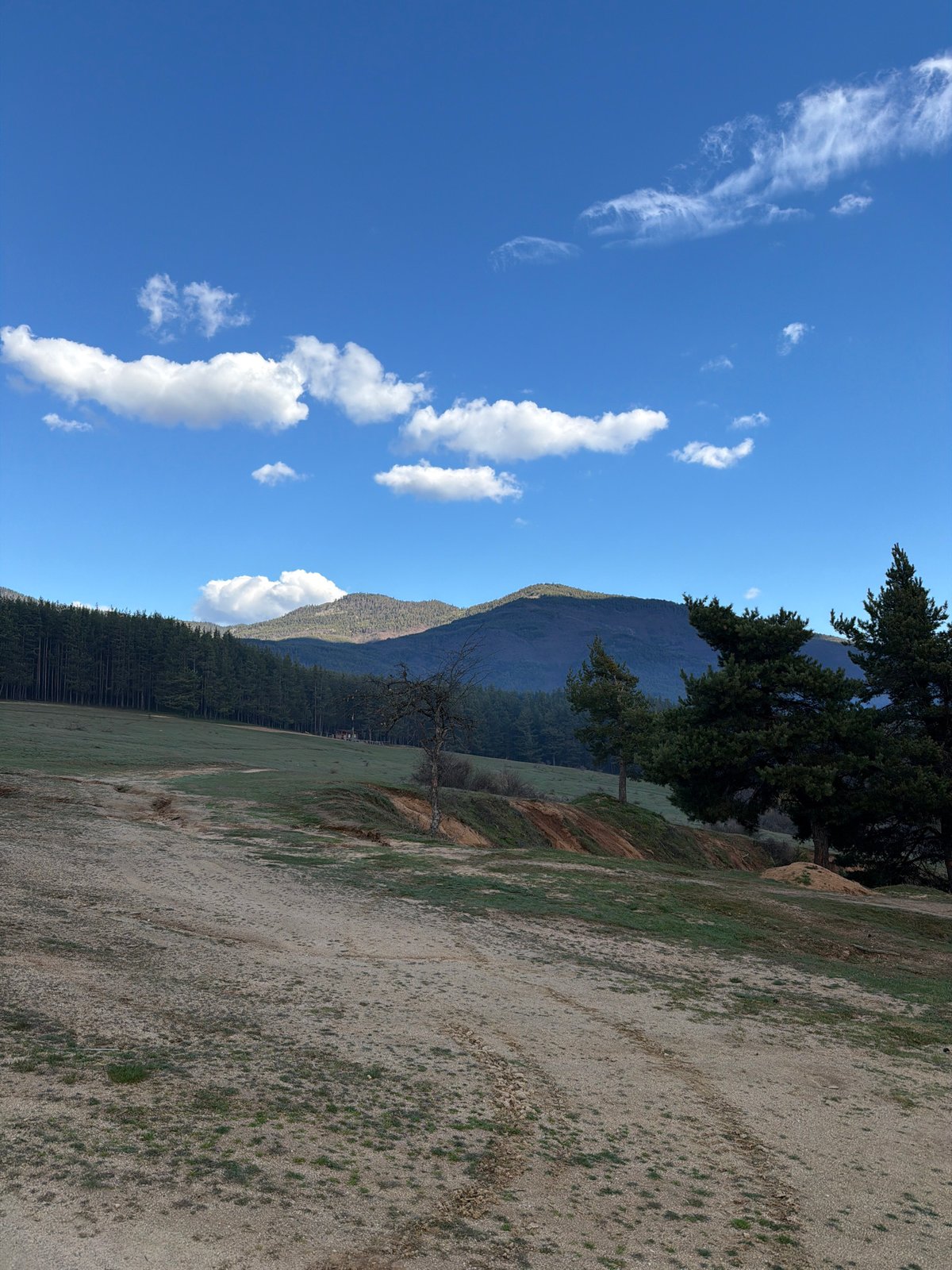 Clear morning skies over forested mountains in Velingrad