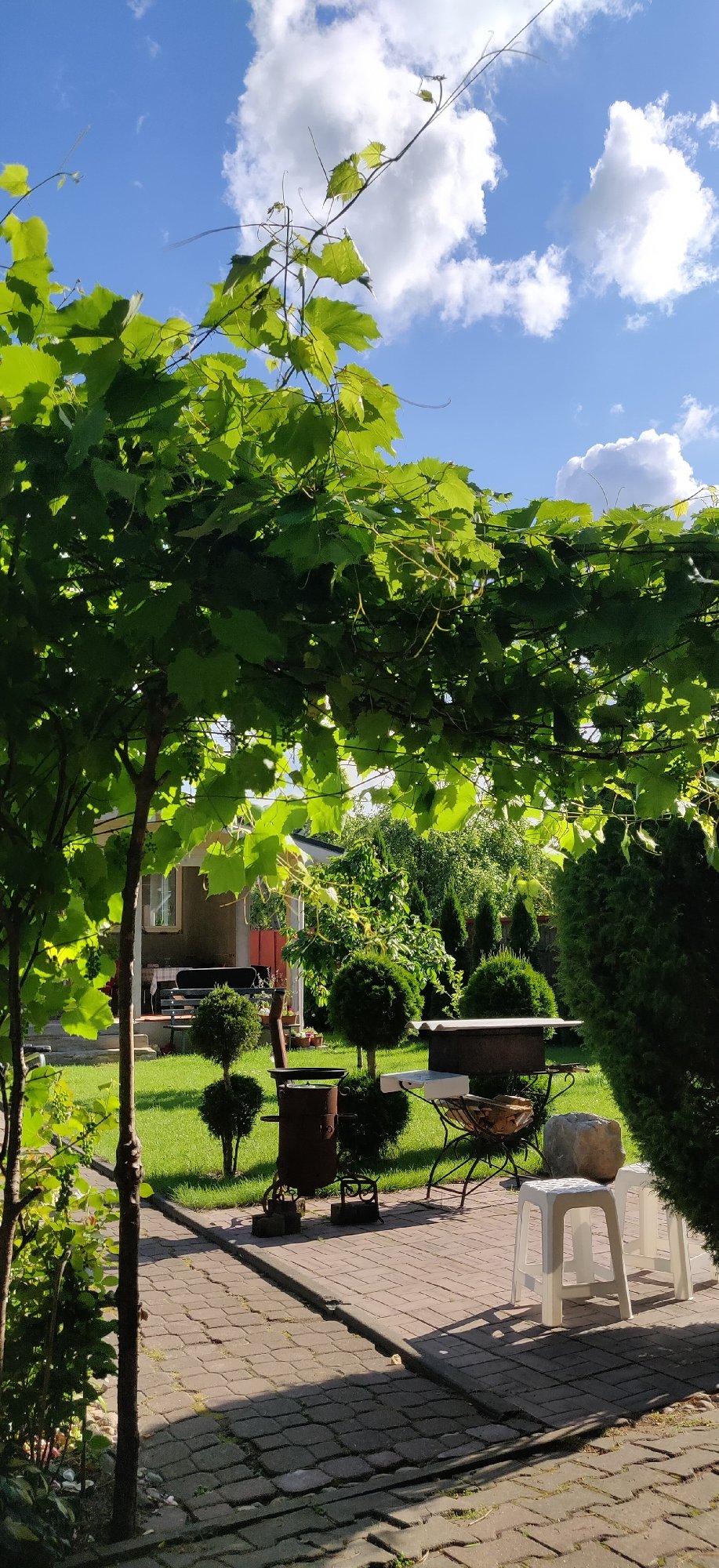Sunny afternoon walkthrough of a garden and rustic property