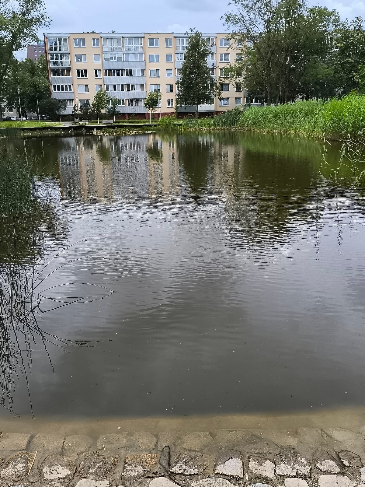 Quiet afternoon at a Klaipėda park pond