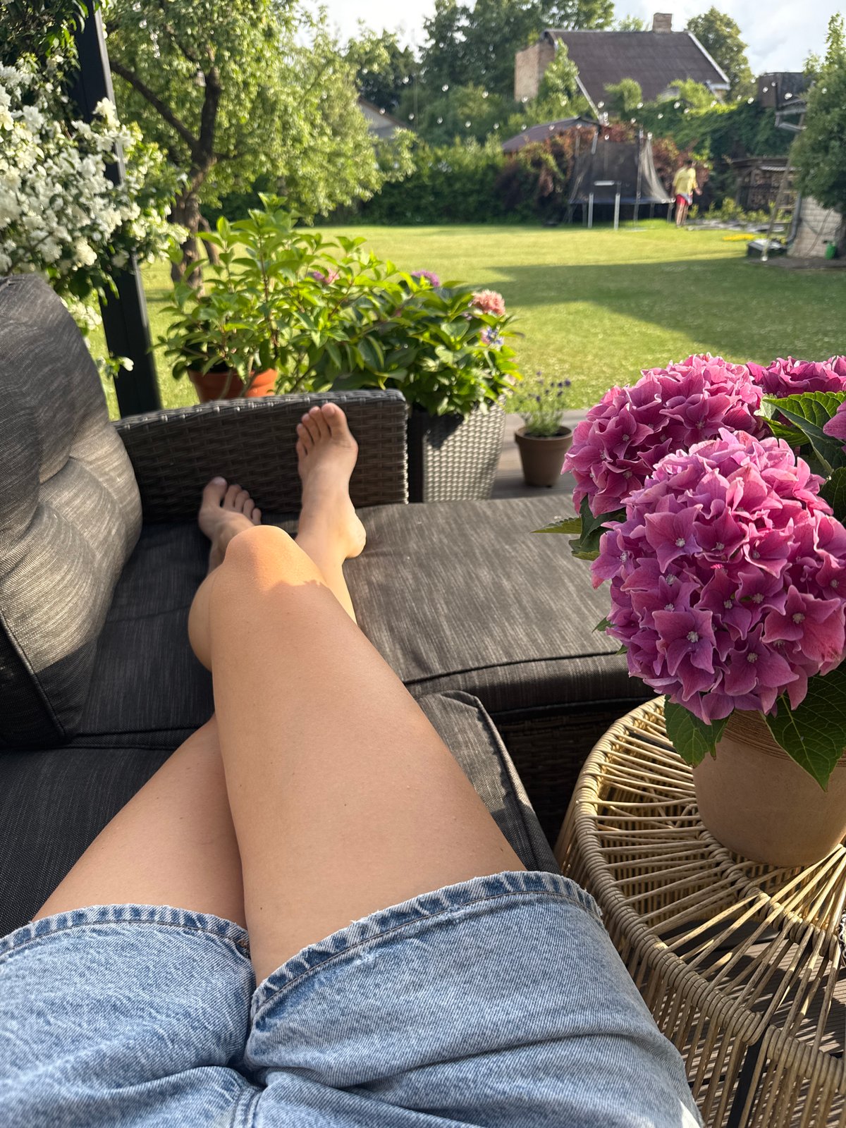 Lazy summer afternoon at home in Carnikava, pets included