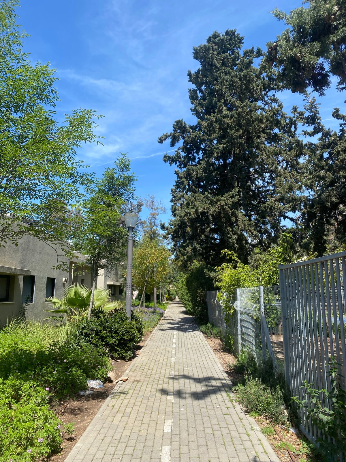 Clear morning pedestrian pathway documented in Kiryat Bialik