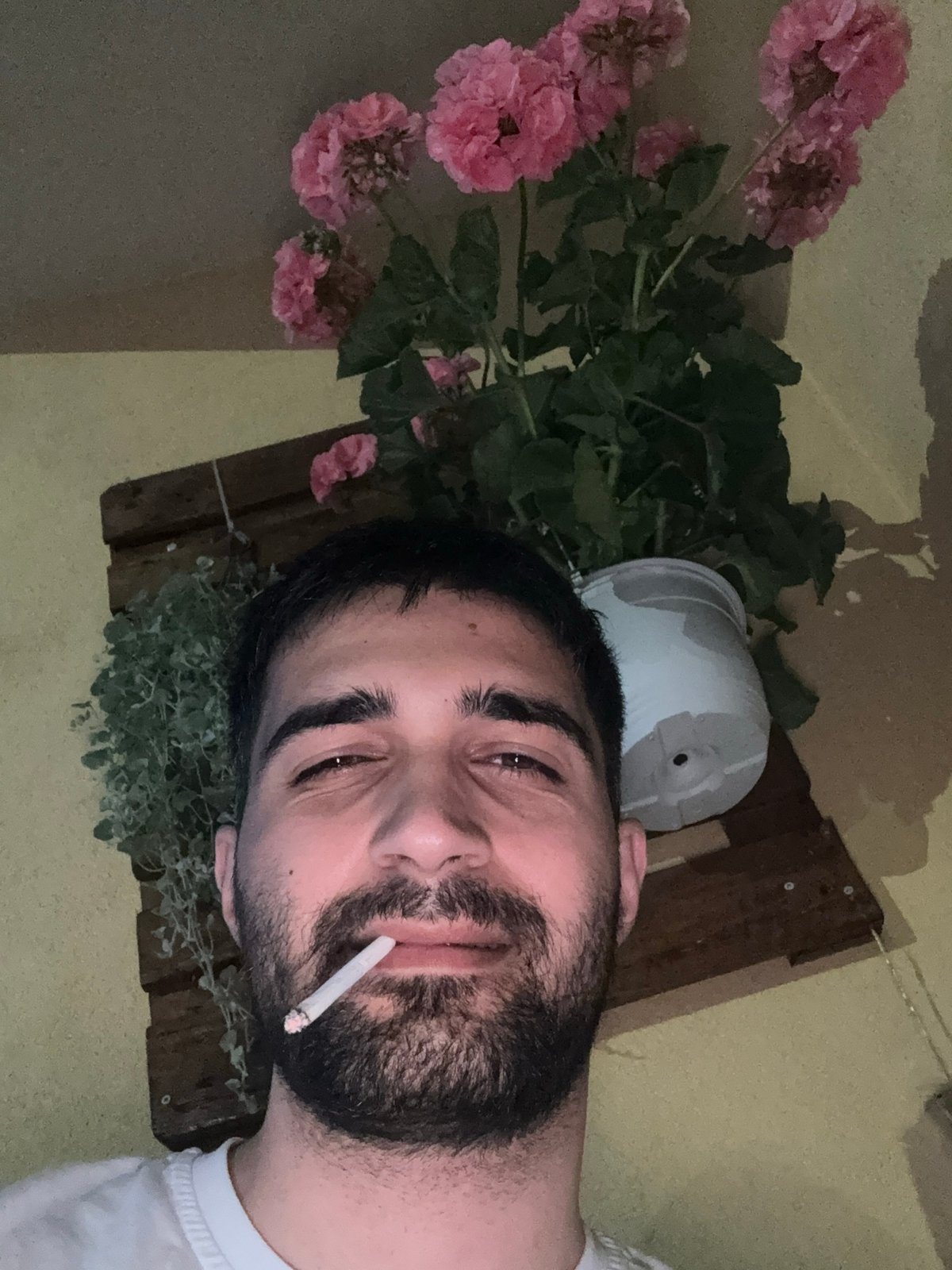 Sofia resident documents rainbow, dining, daily life on June 6th