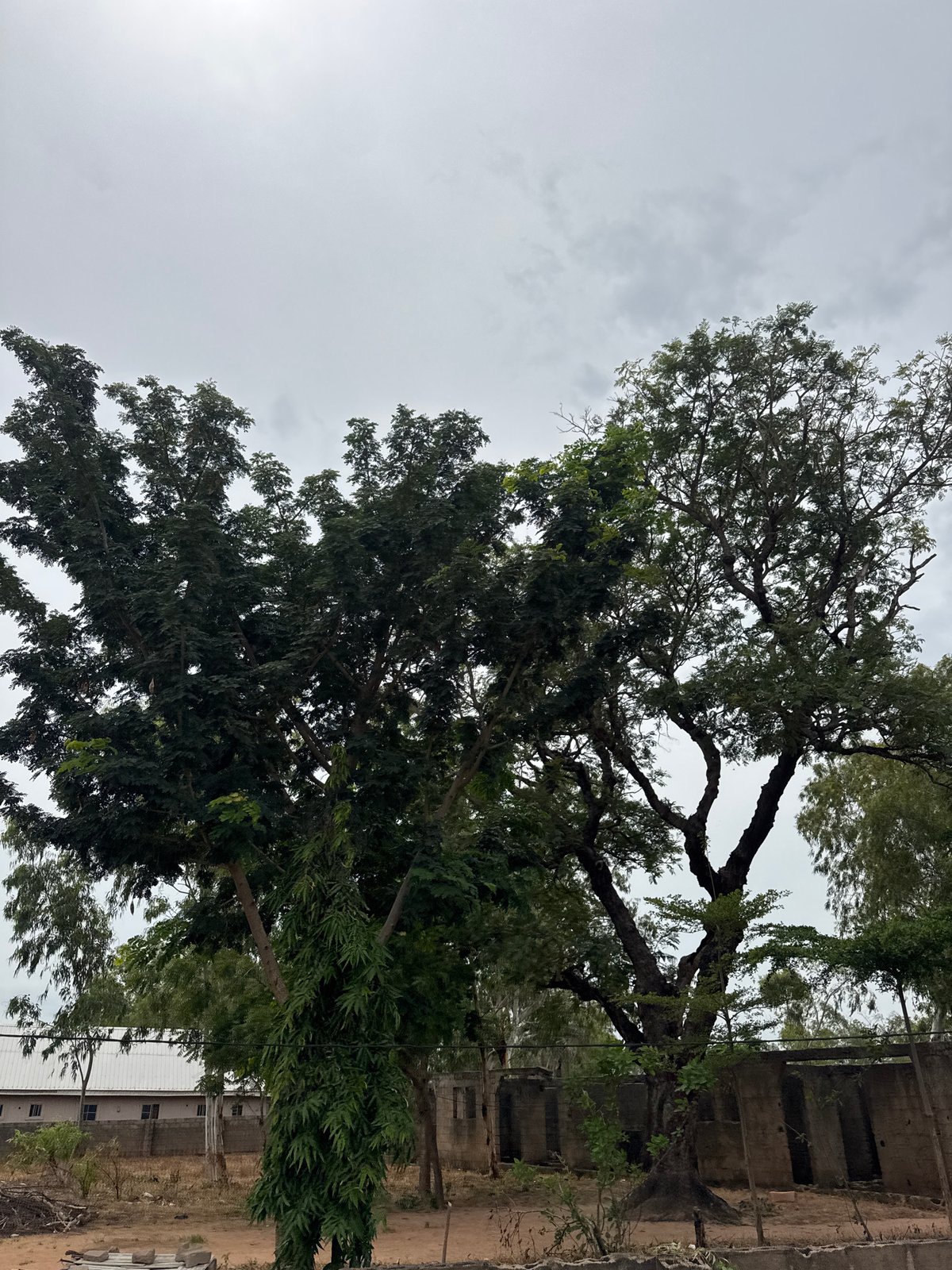 Street-level look at daily life and infrastructure in Jauro Yinu, Nigeria