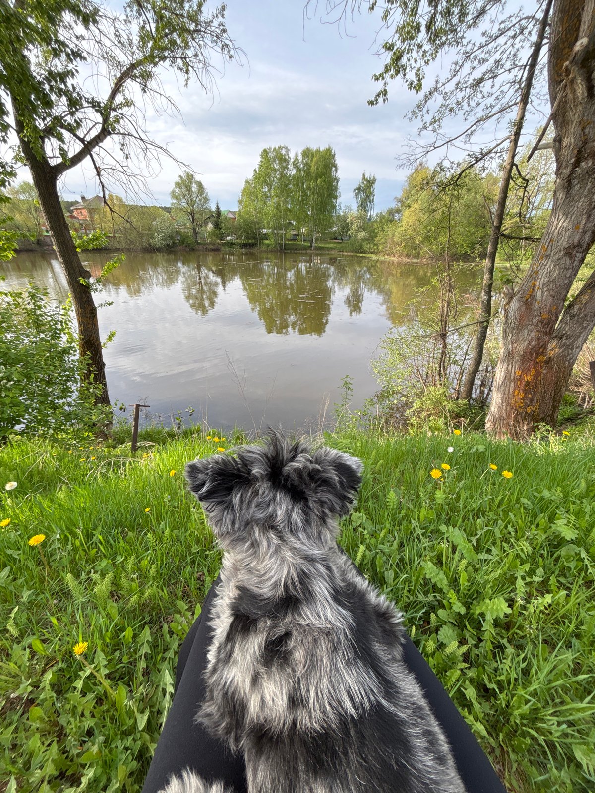 Woman enjoys early morning moments with dog in Chaikovsky